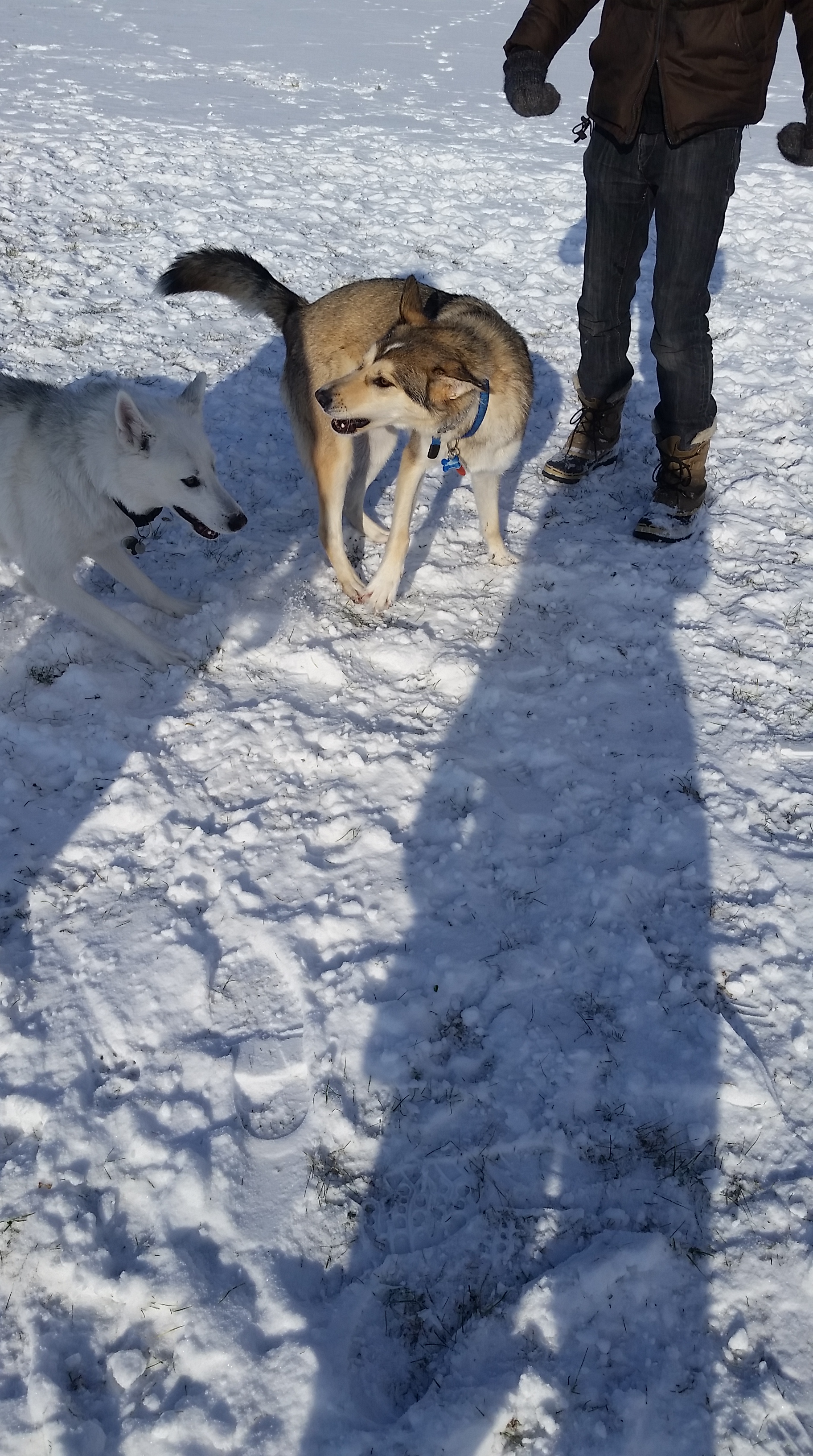 20151121_114138.jpg