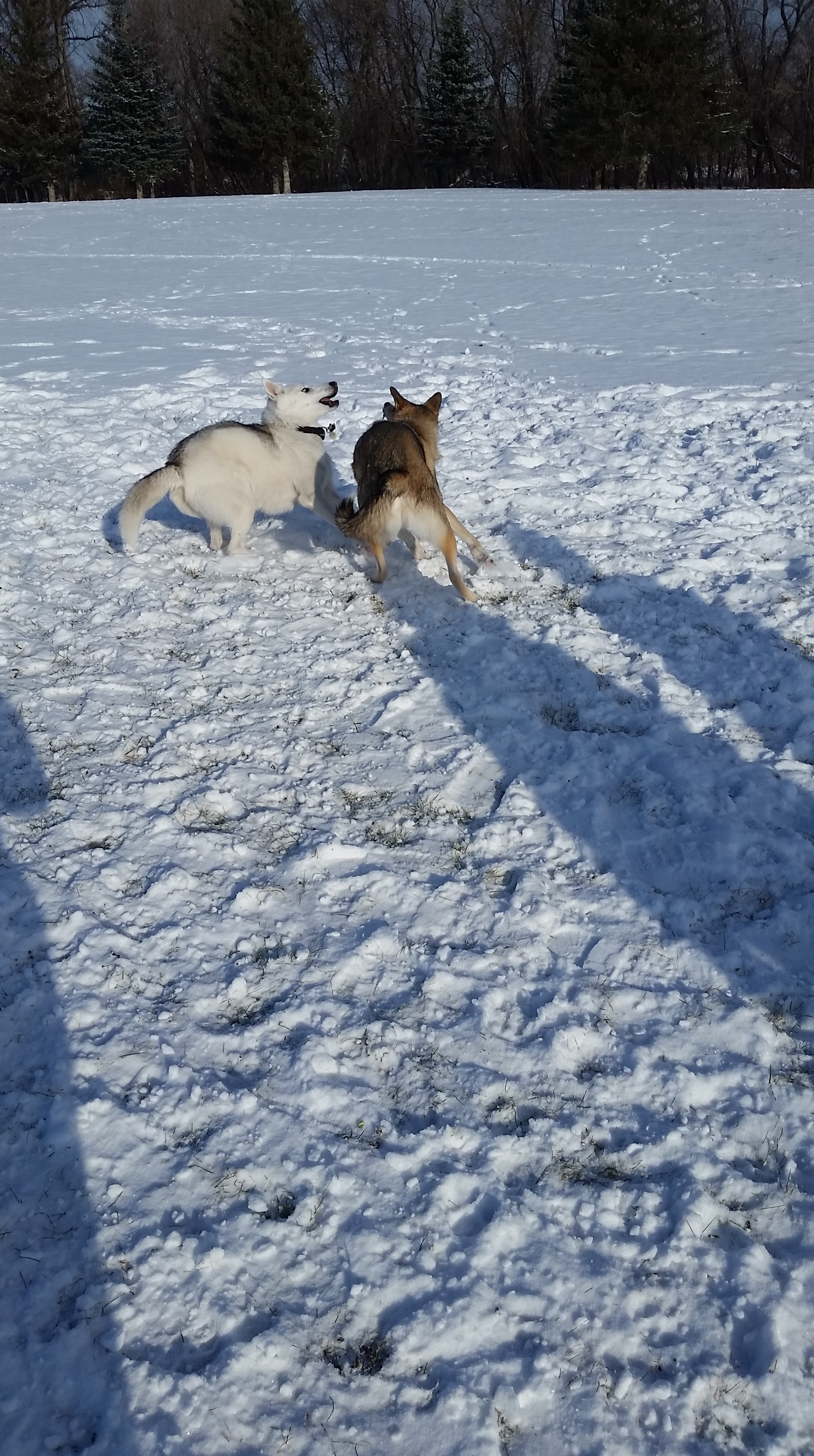20151121_114255.jpg