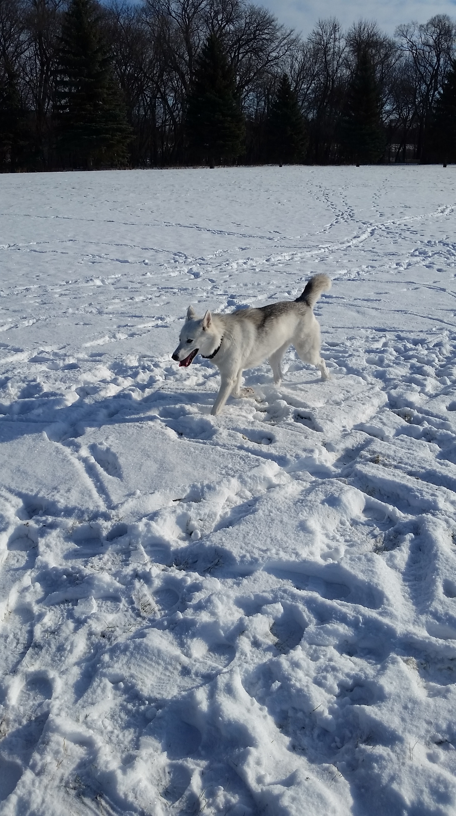 20151121_114359.jpg