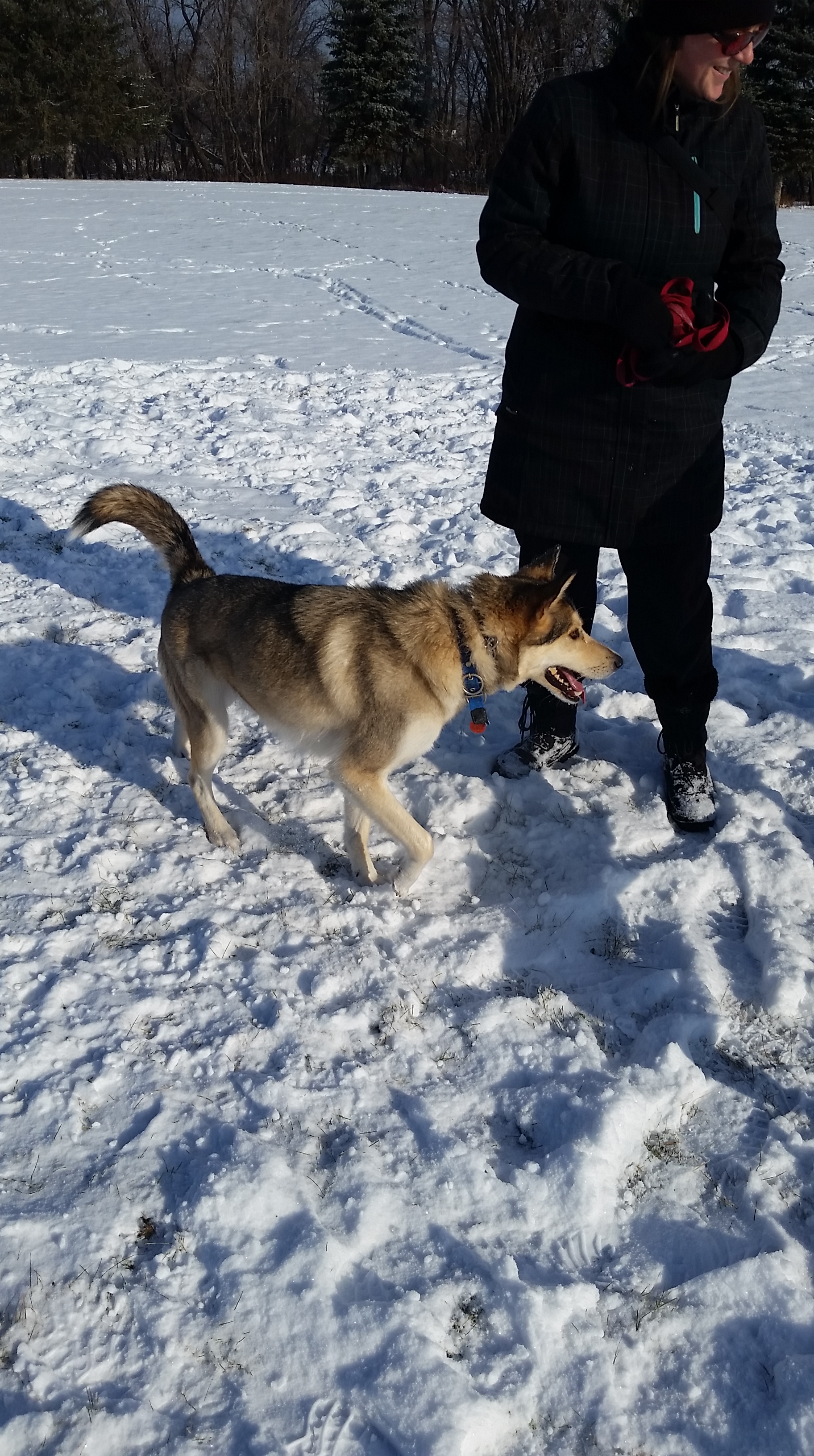 20151121_114401.jpg