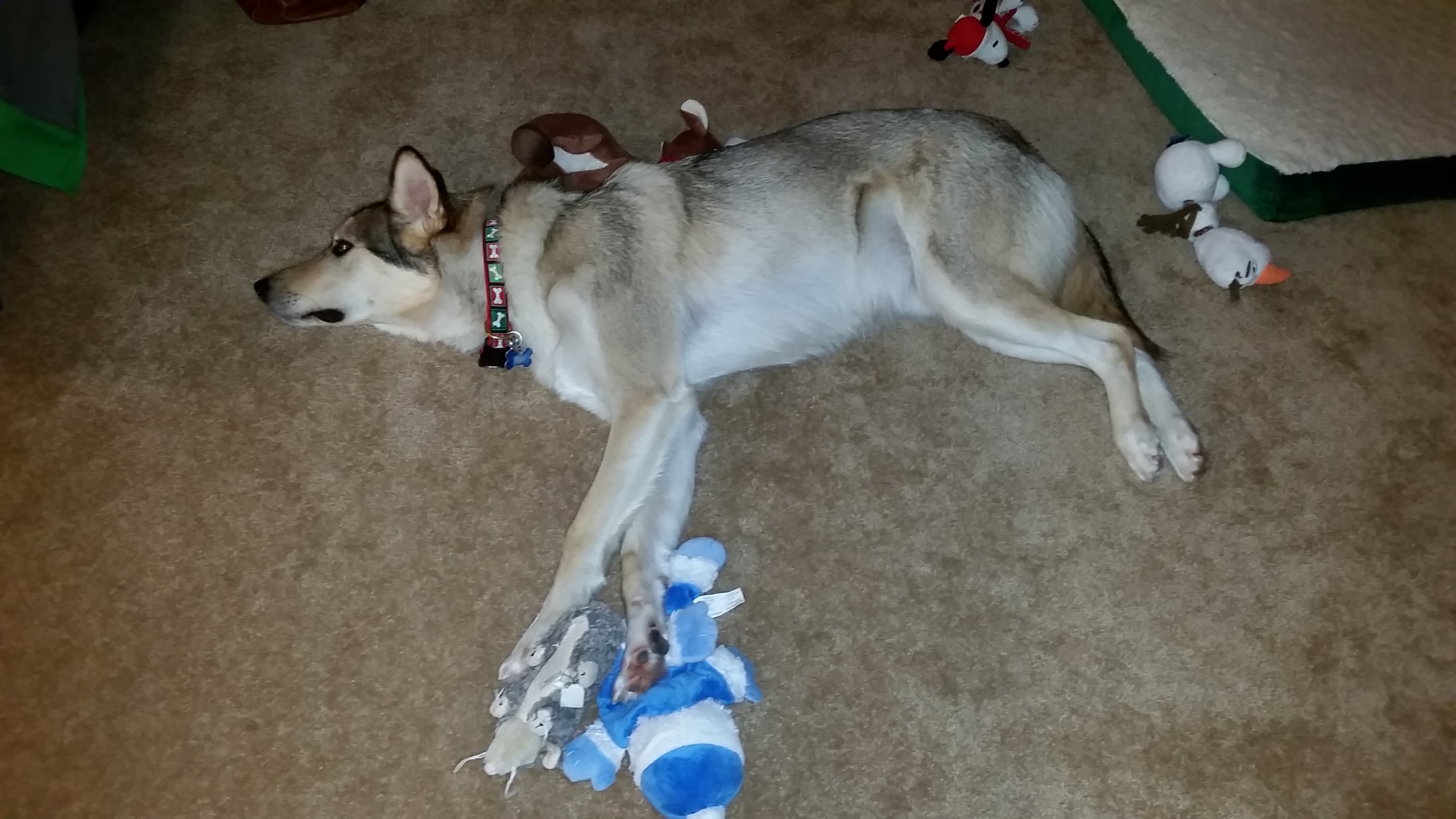 20151125_183249.jpg