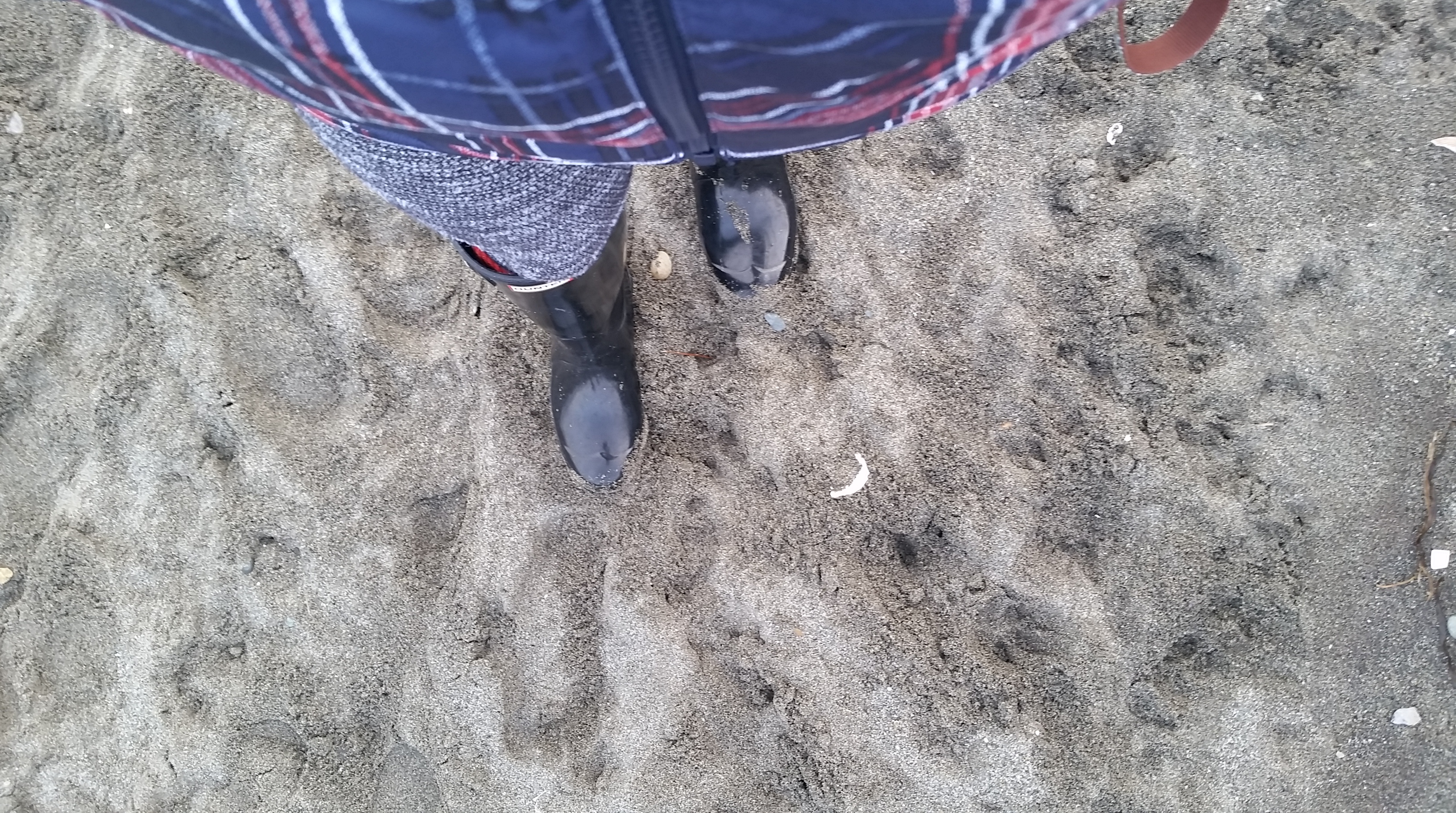 wpid-20151111_155202.jpg
