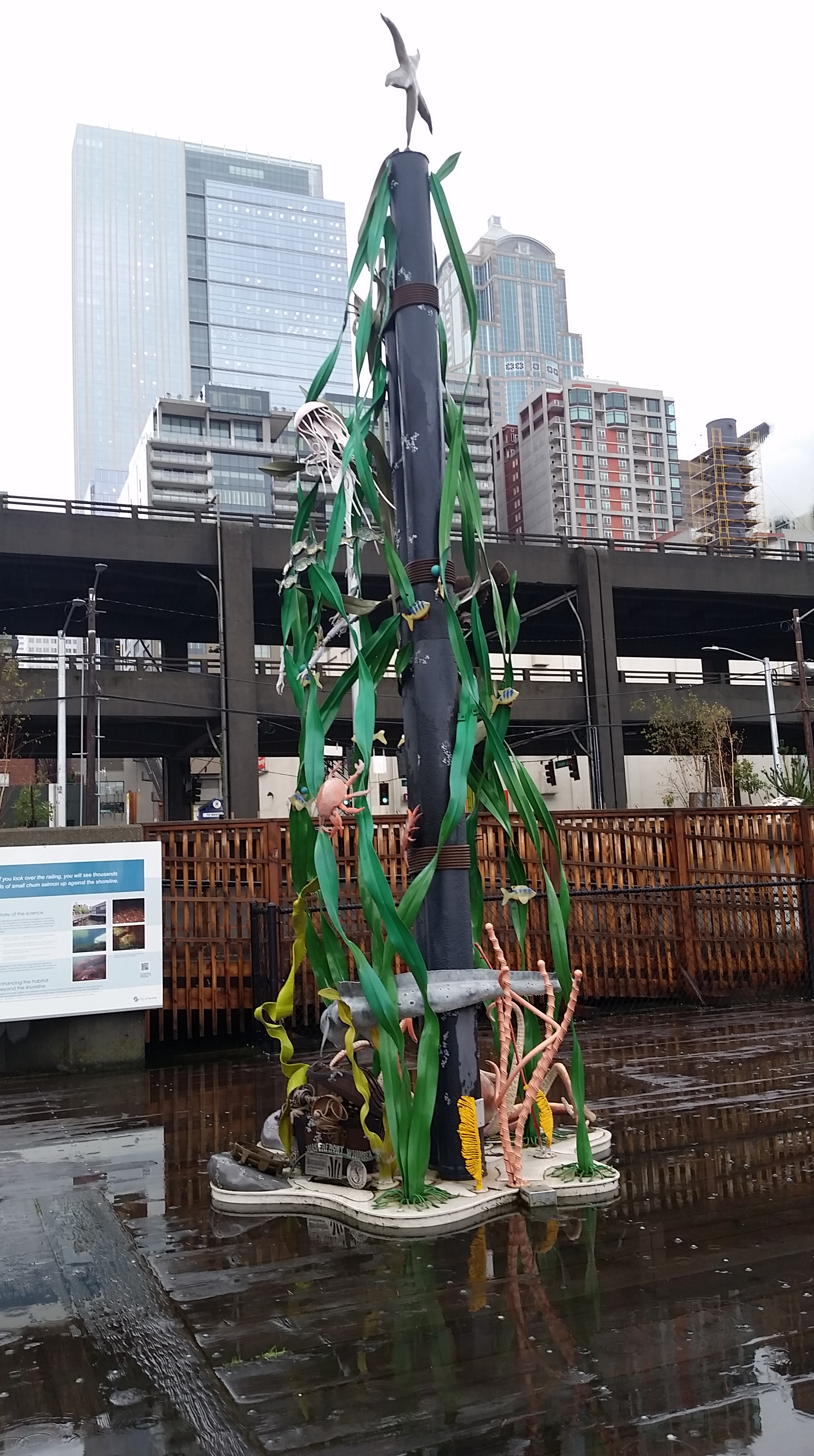 wpid-20151114_102851.jpg
