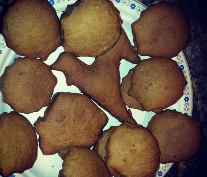 Holiday Dog Treats- Not Just for People! (Blogmas #5)