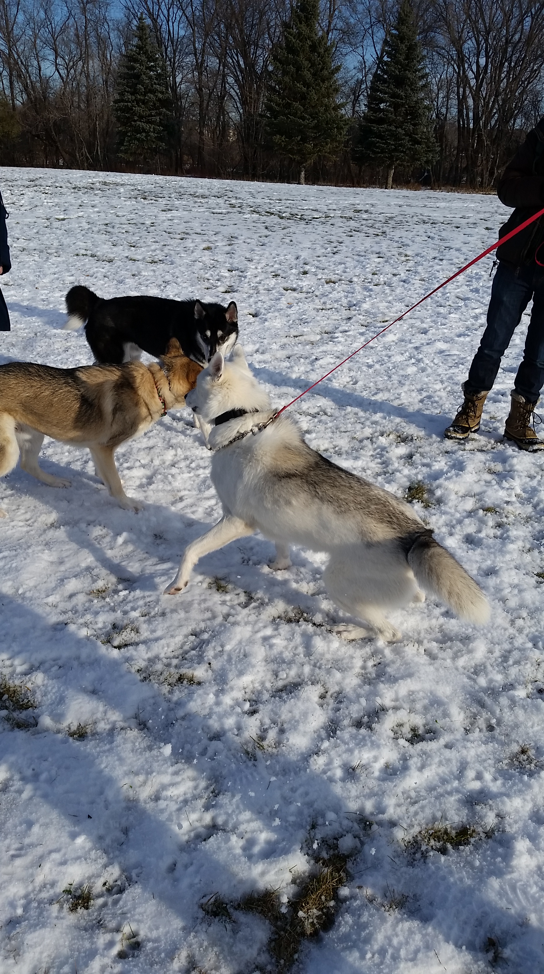 20151205_115019.jpg