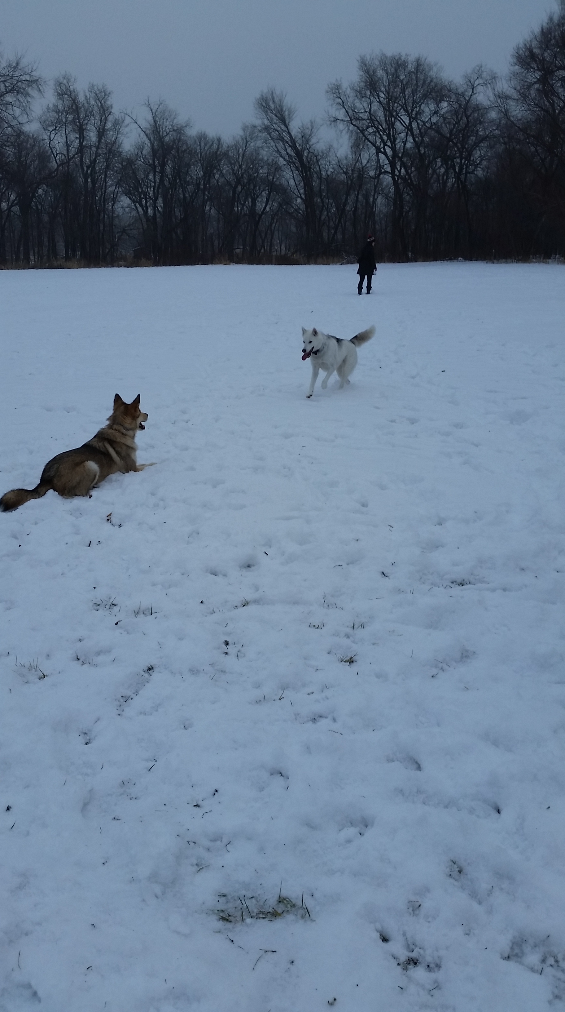 20151213_113224.jpg