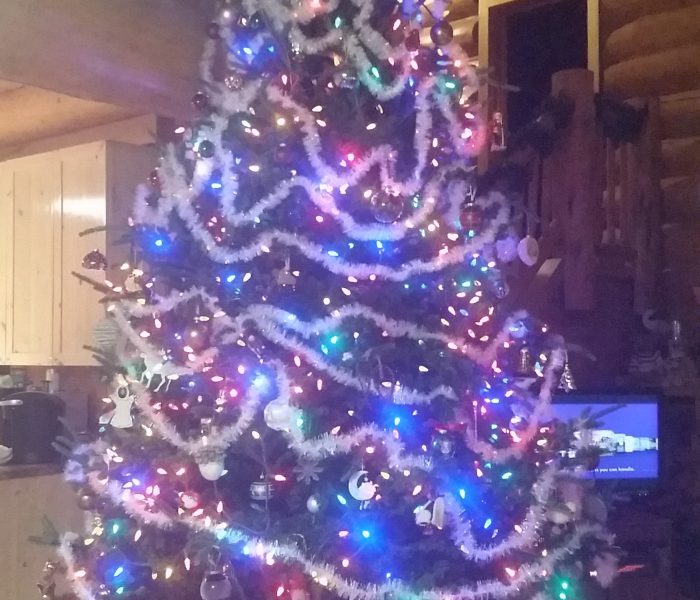 Holiday Traditions (Blogmas 2016)