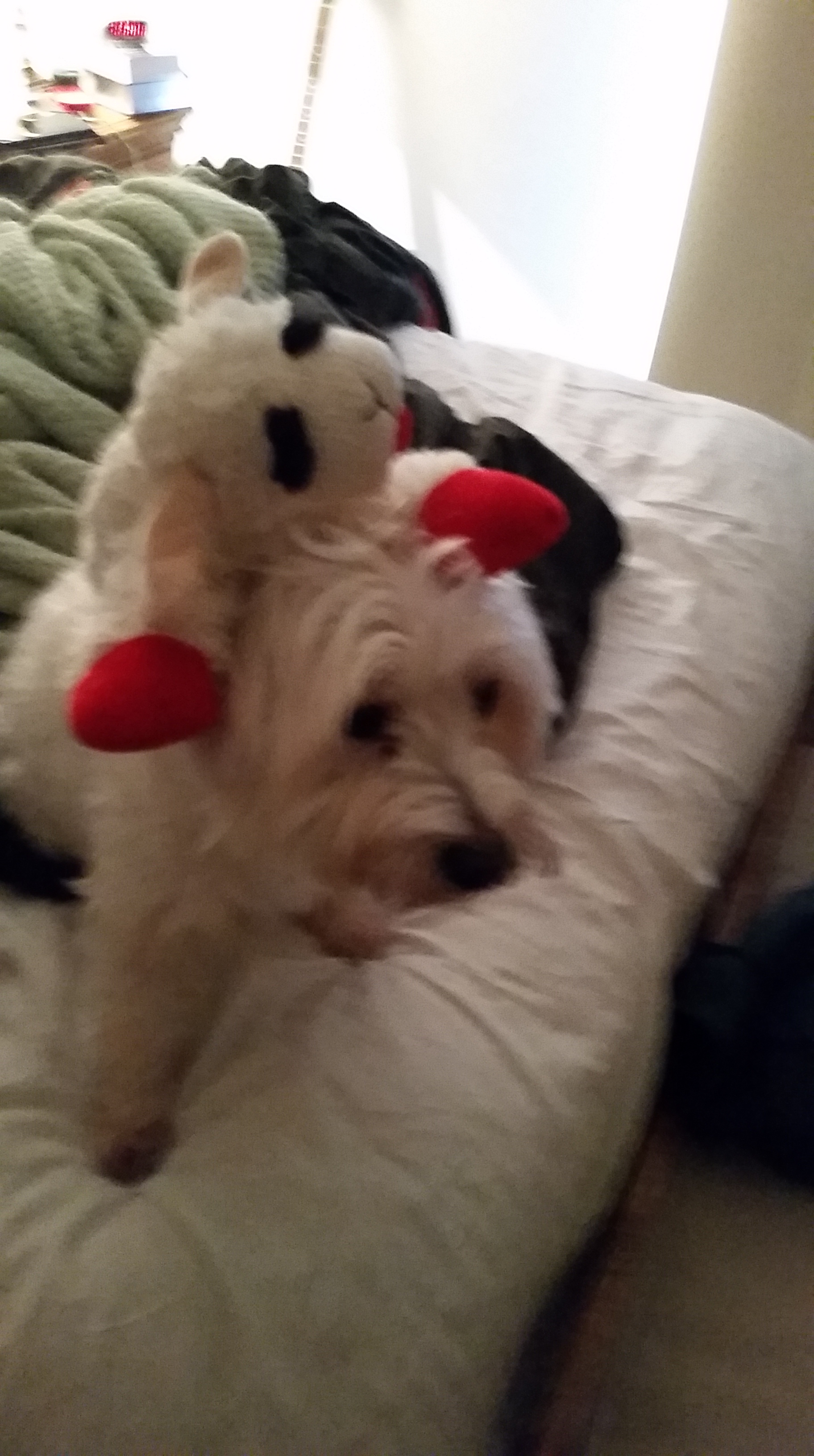 20151230_114230.jpg