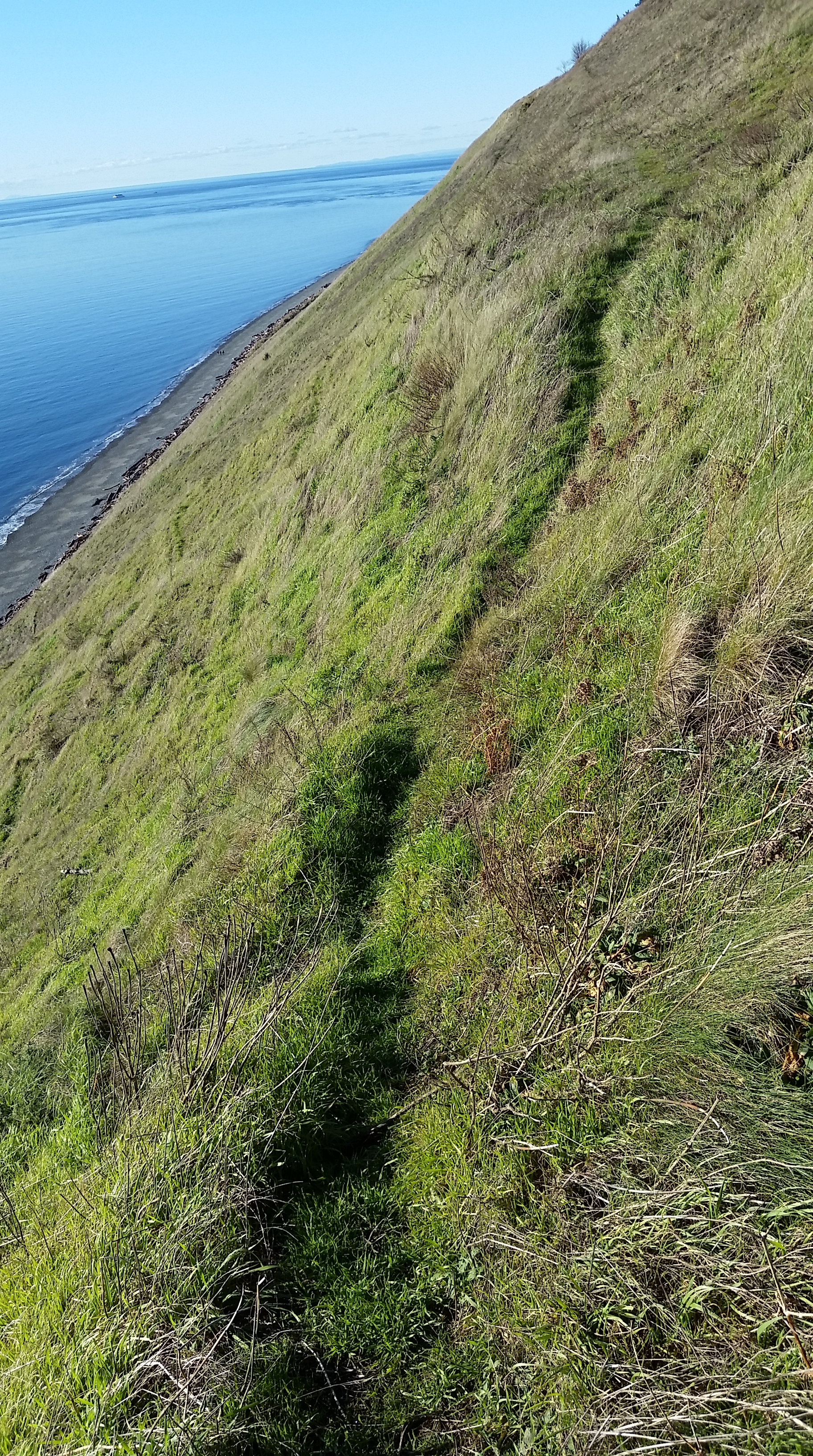 20151230_132447.jpg