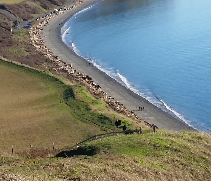 Holiday Vacation: Doggie Beach (aka Double Bluff)