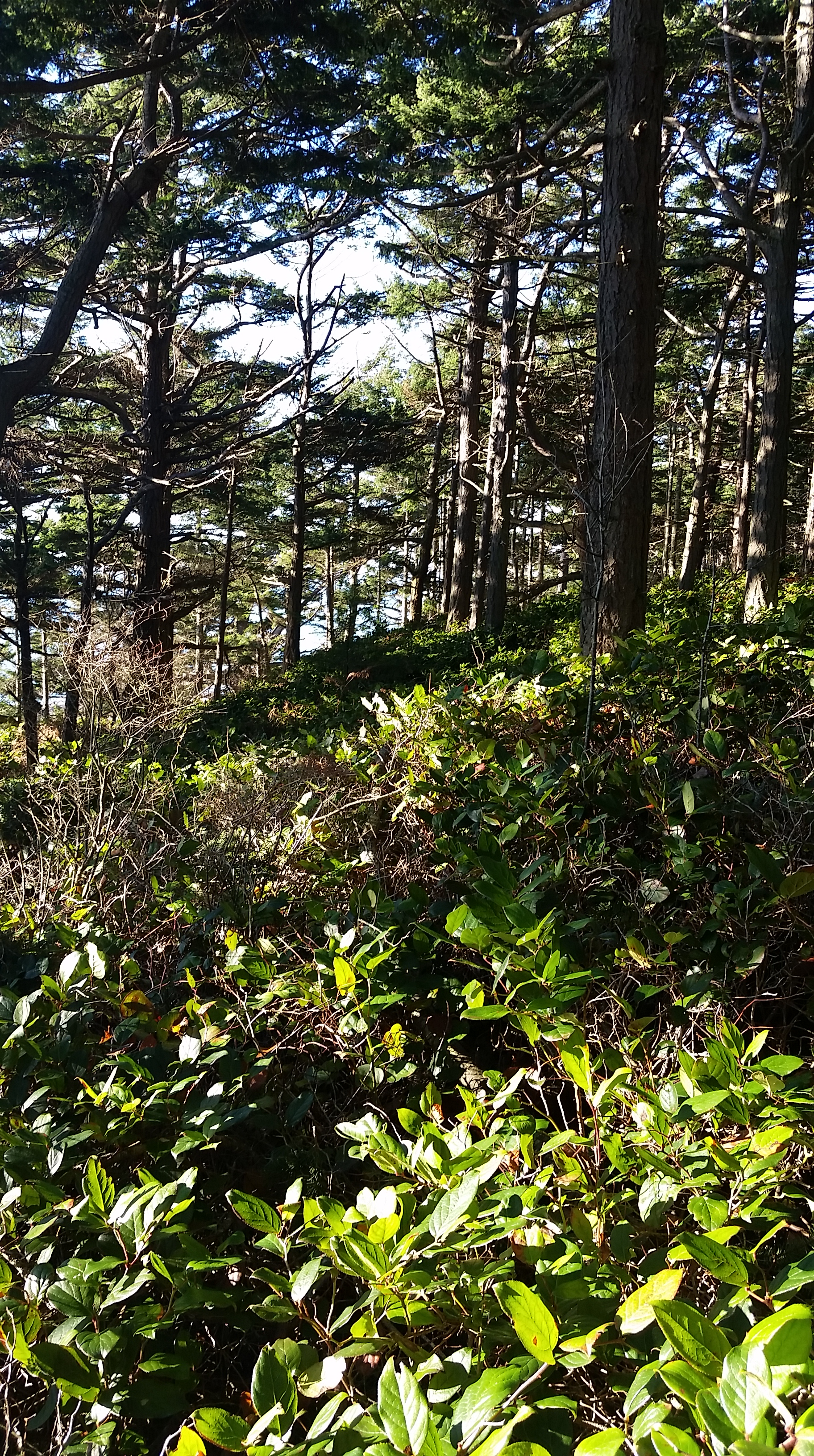 20151230_133944.jpg