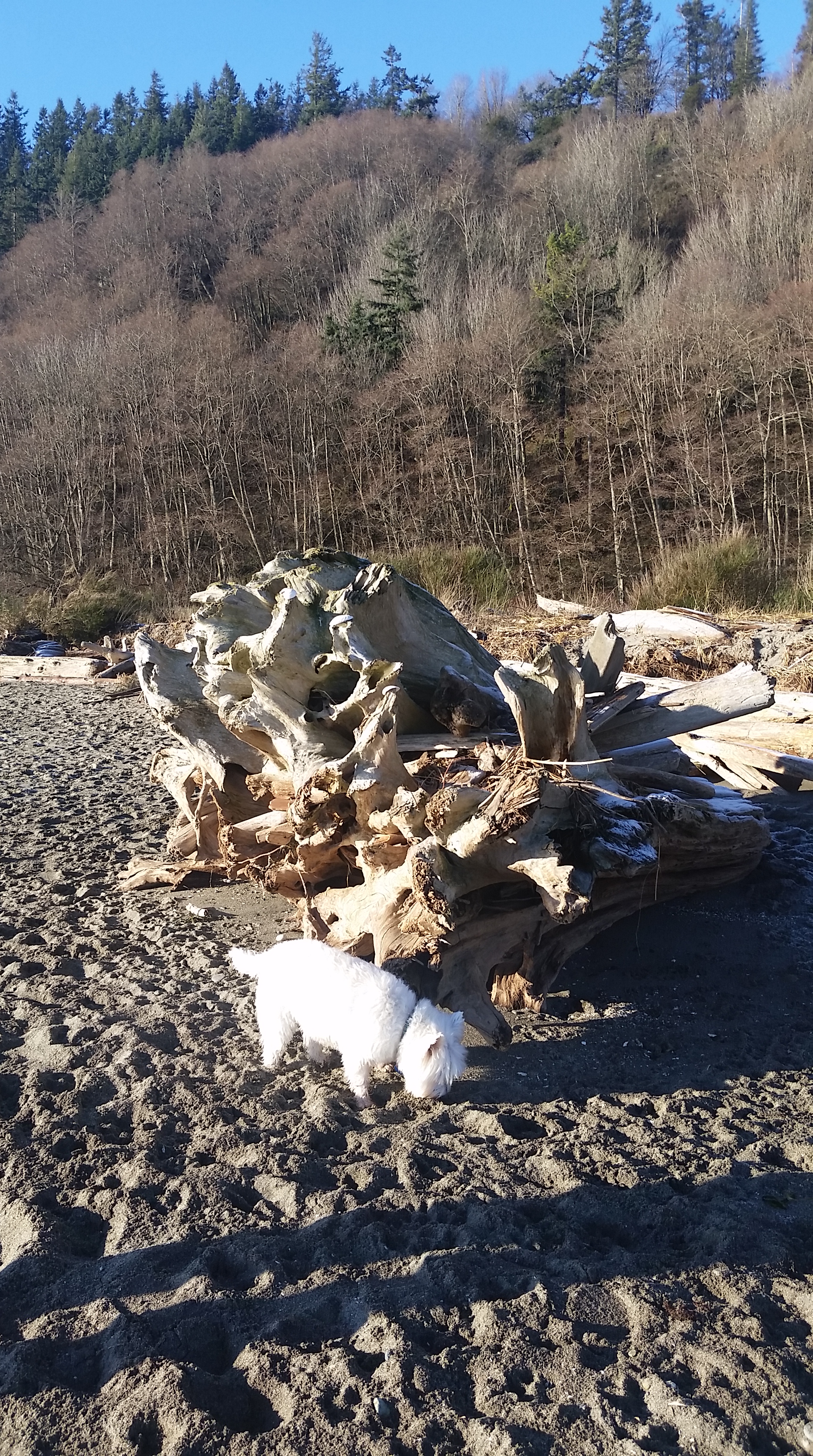 20160103_100735.jpg