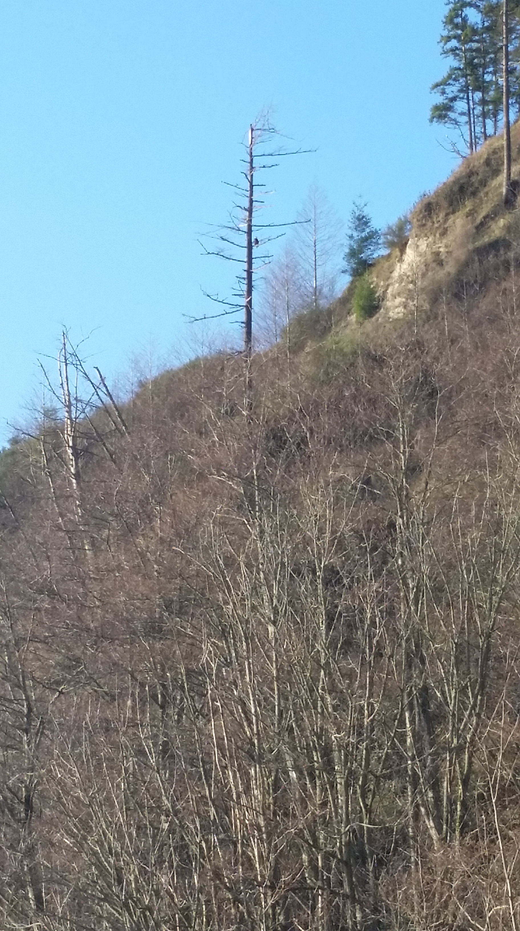 20160103_101242.jpg