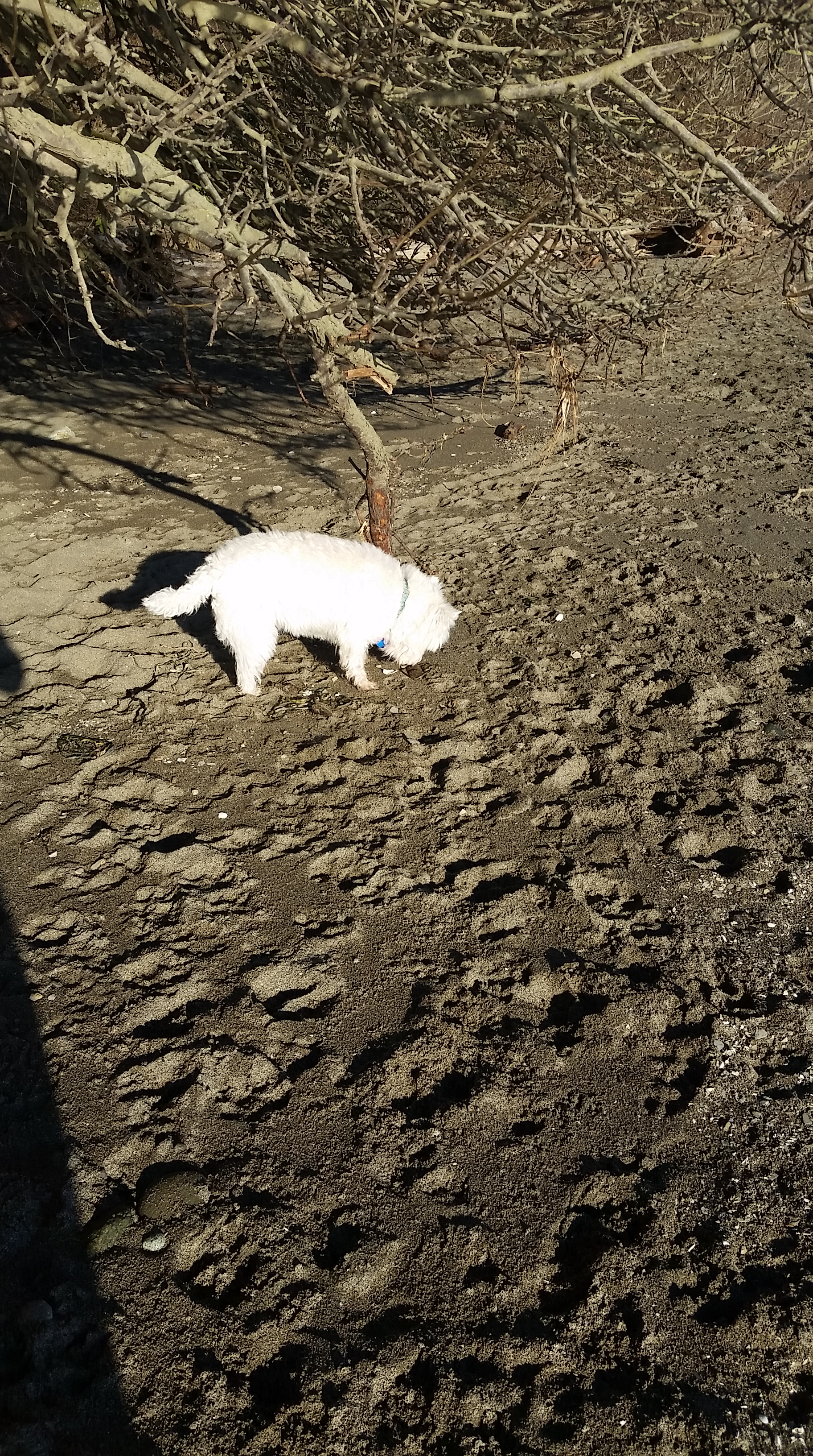 20160103_101641.jpg