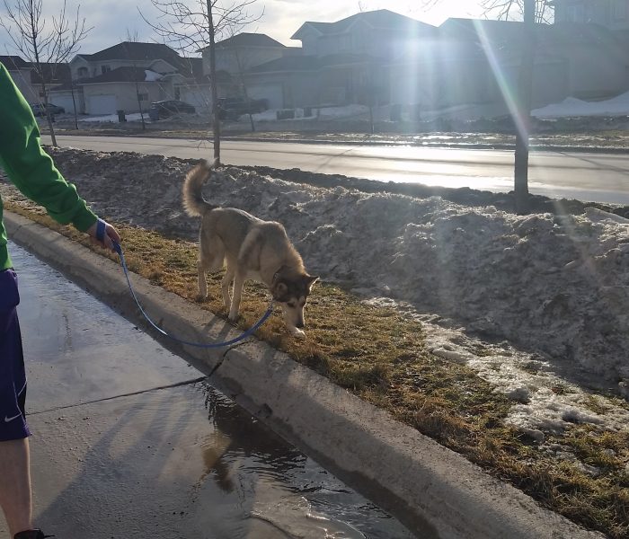 Spring Will Be Here Soon!
