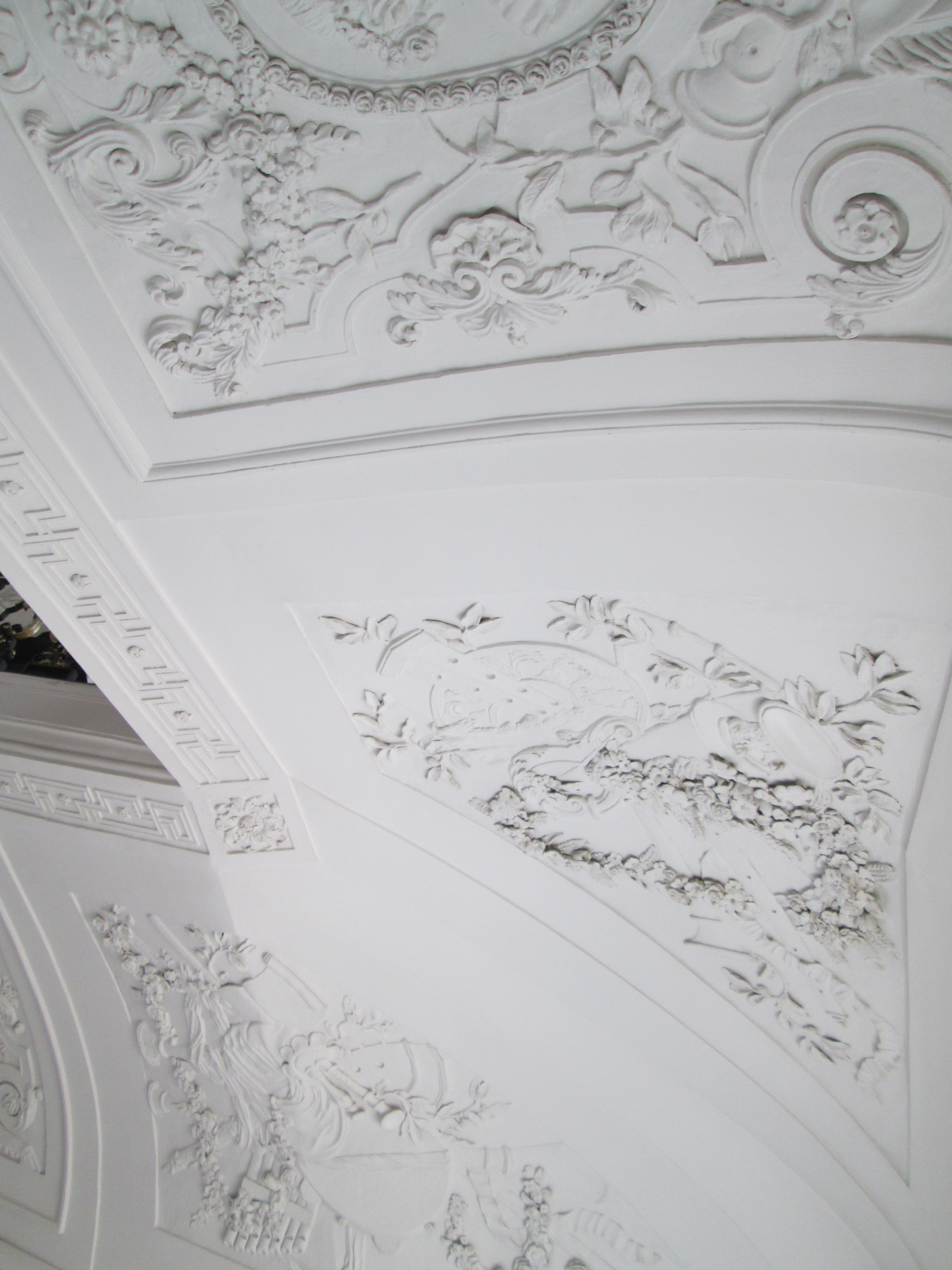 IMG_3499
