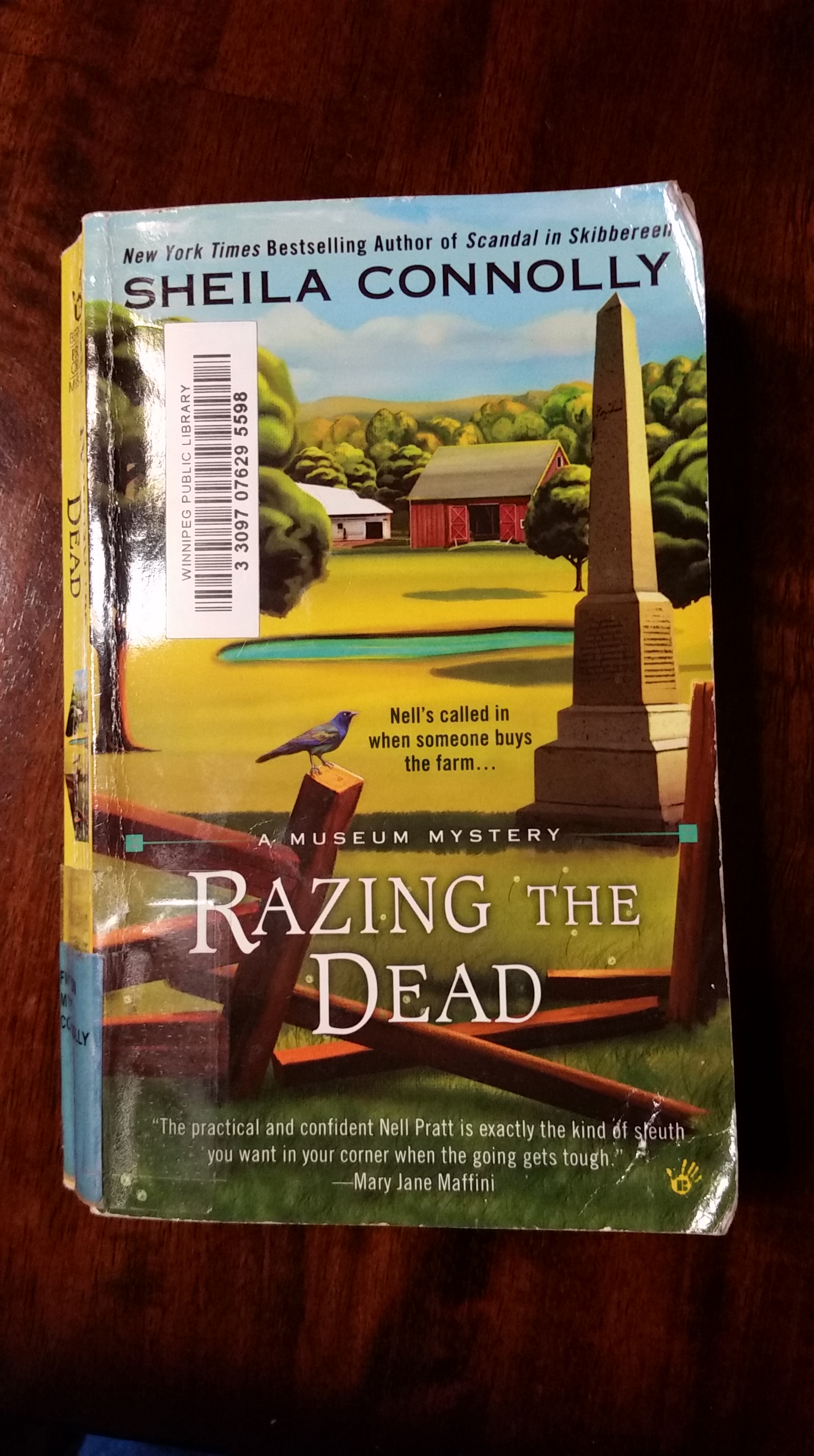 library-card-cozy-mystery.jpg.jpg