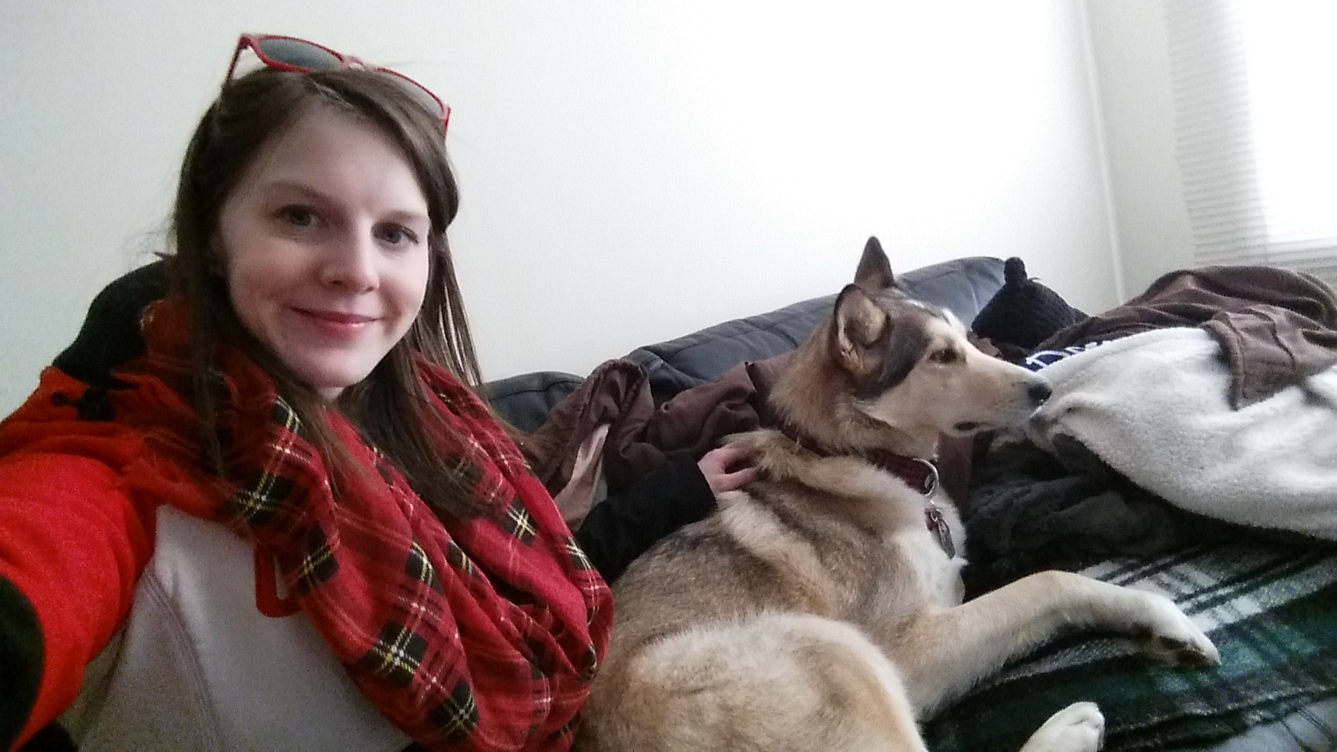loki-husky.jpg.jpg