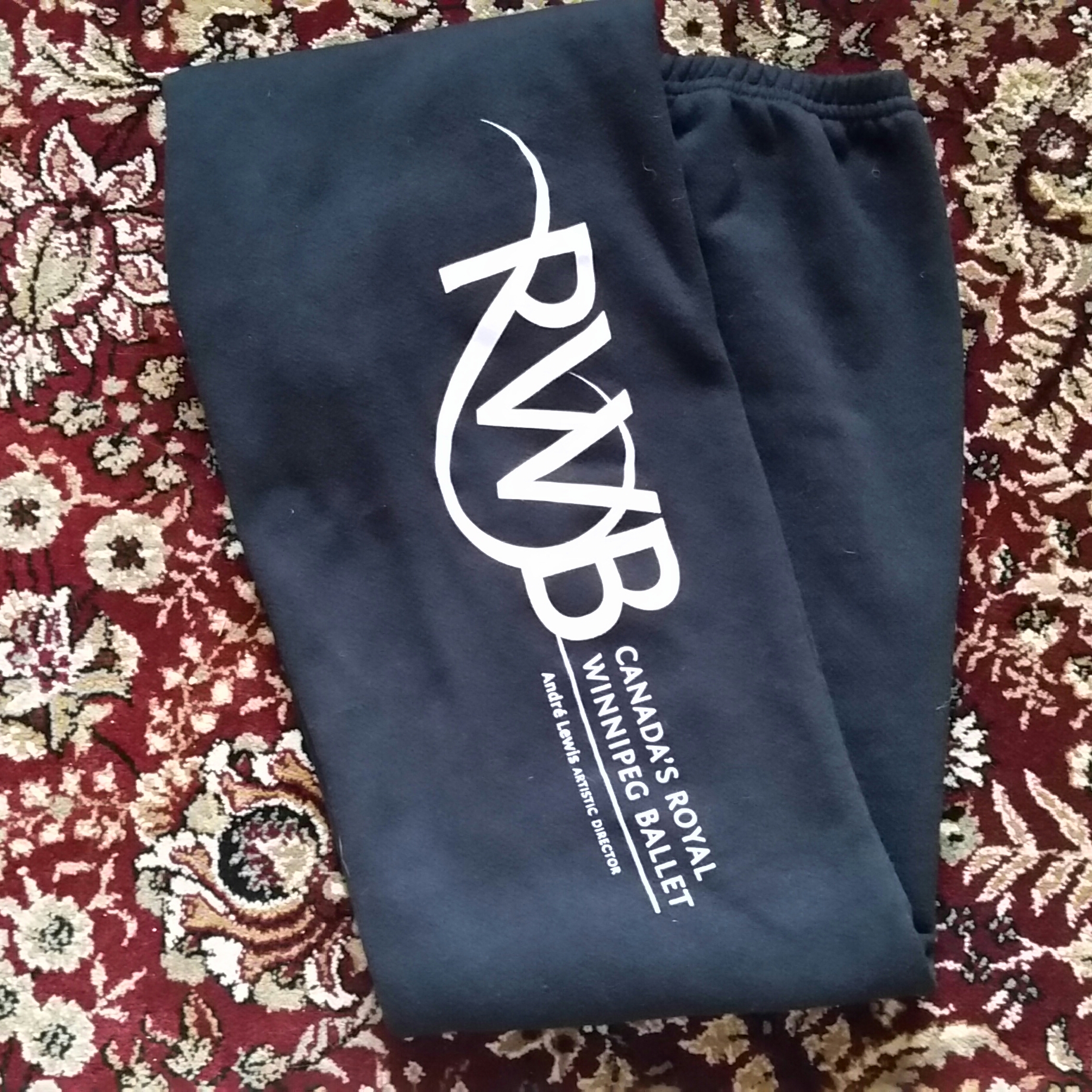royal-winnipeg-ballet-sweatpants.jpg.jpg