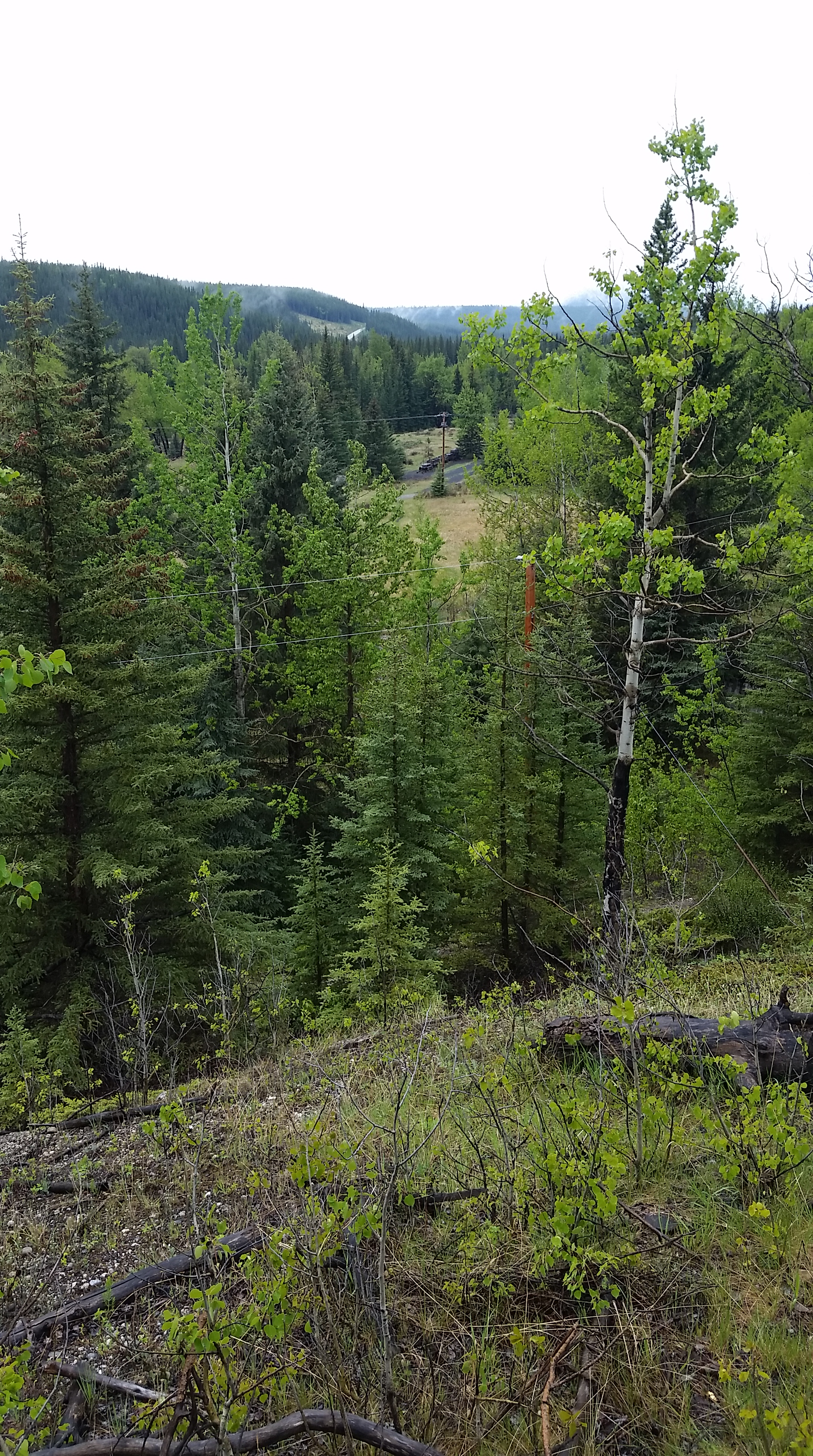 Bankhead view train.jpg