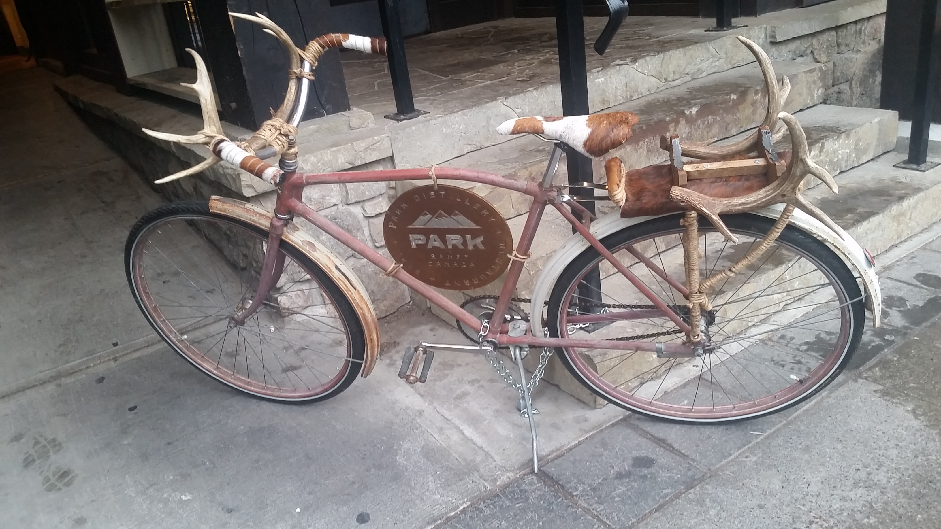 Banff bike.jpg
