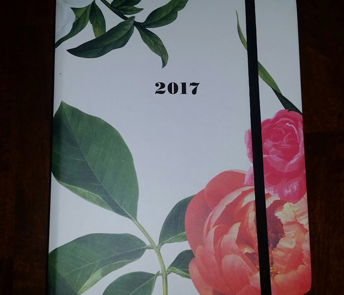 Kate Spade Peony Planner 2017 Review