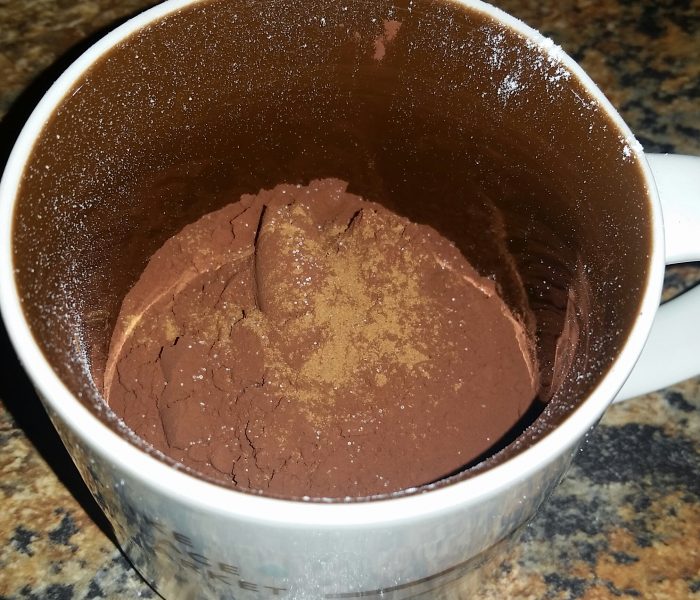 Trial- Brownie in a Mug