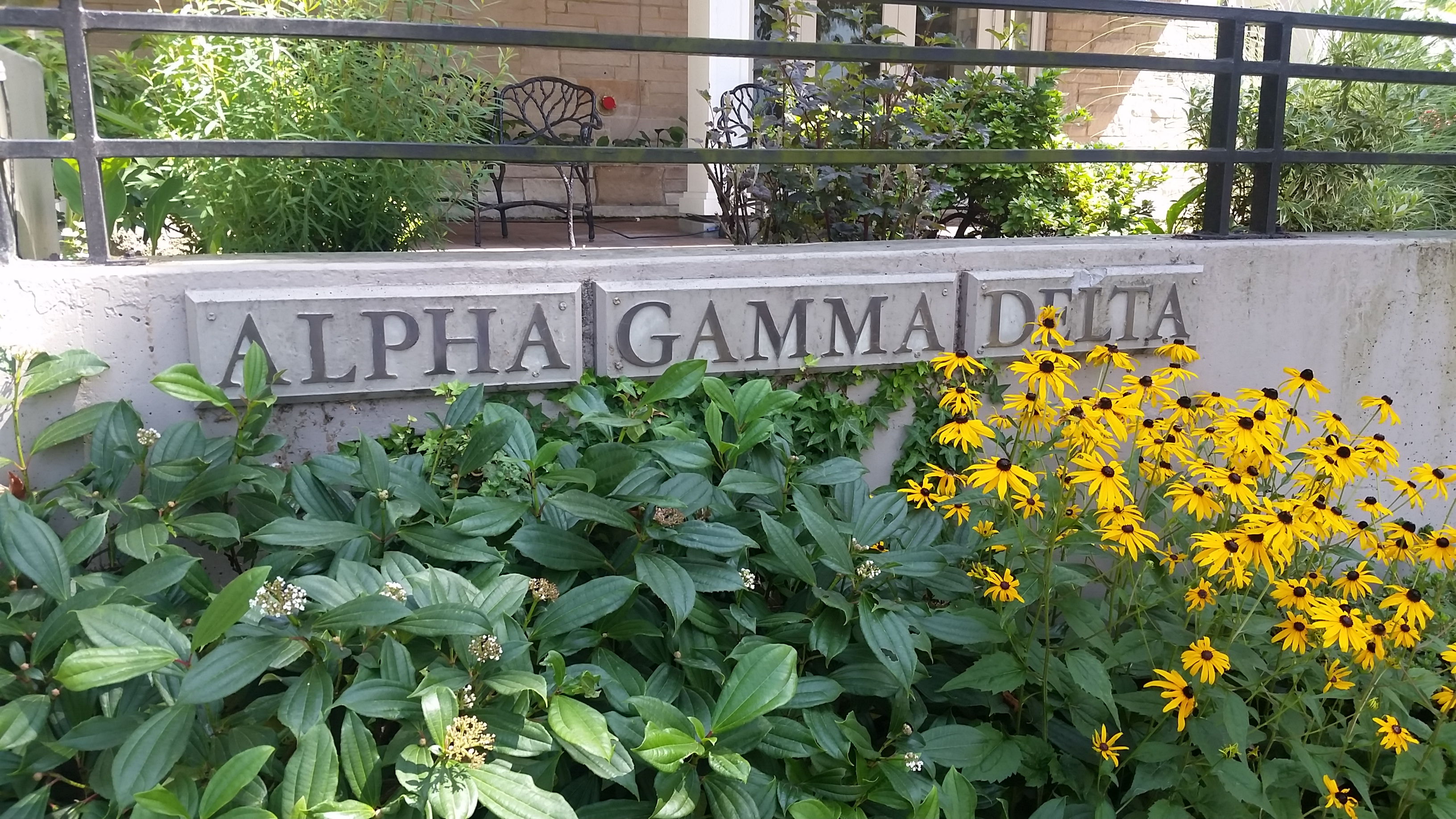 Alpha Gamma Delta UWashington.jpg