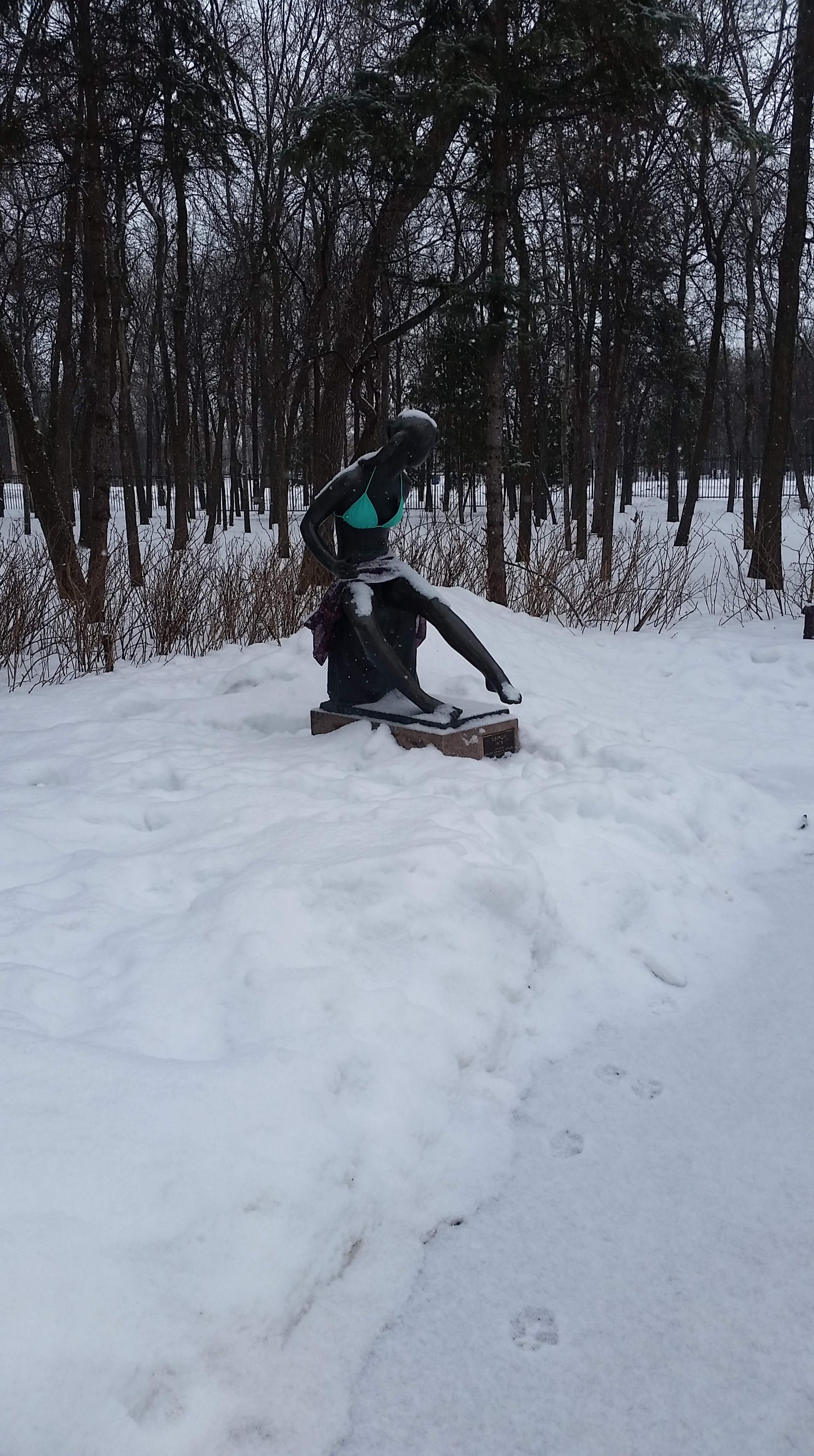 20170225_112243.jpg