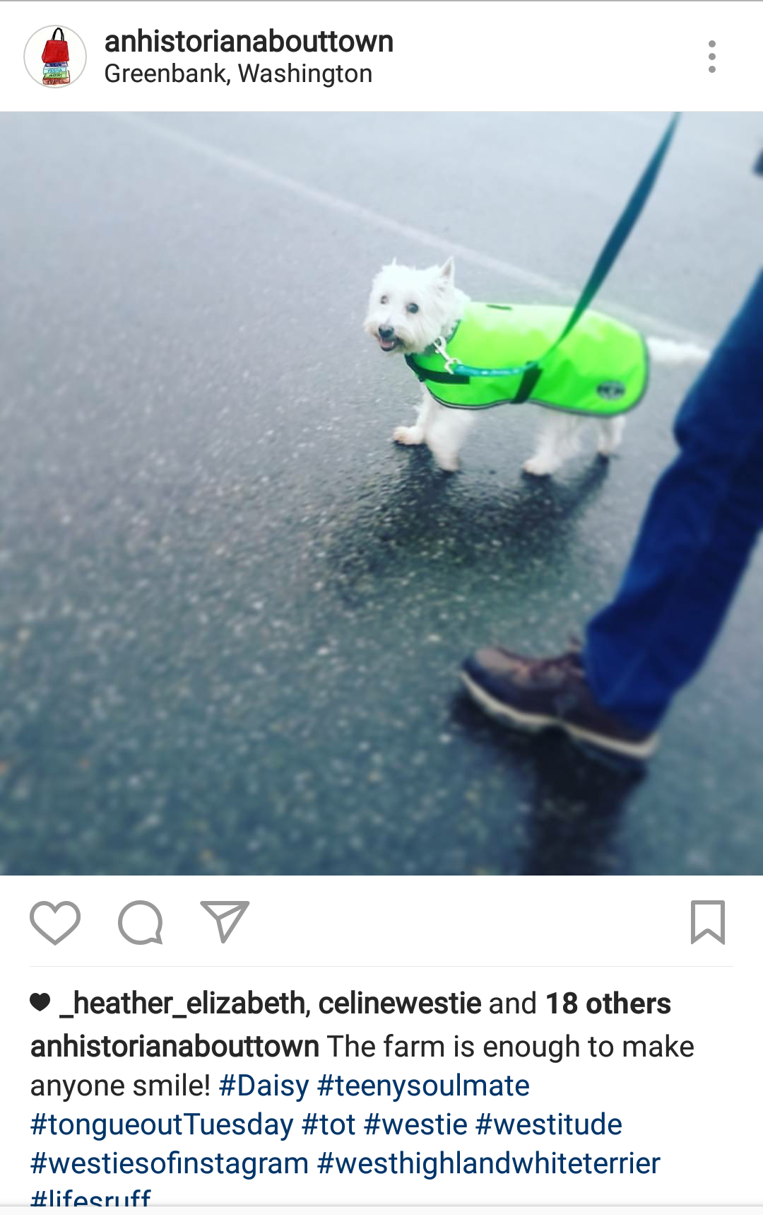 Daisy Instagram.png
