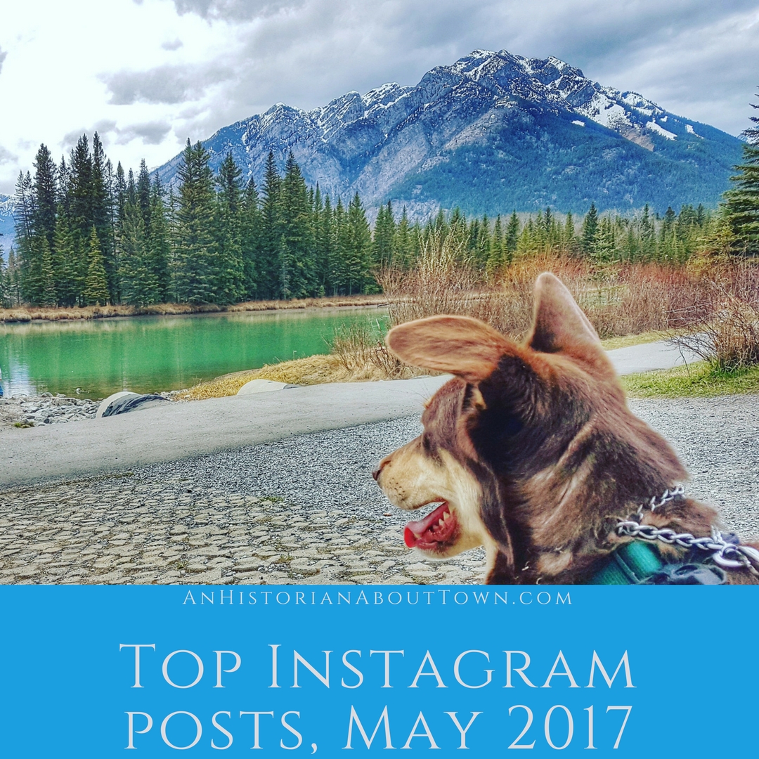 AnHistorianAboutTown.com (1)