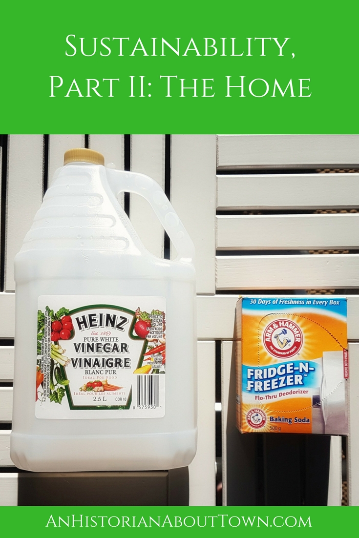 Sustainability, Part II- The Home