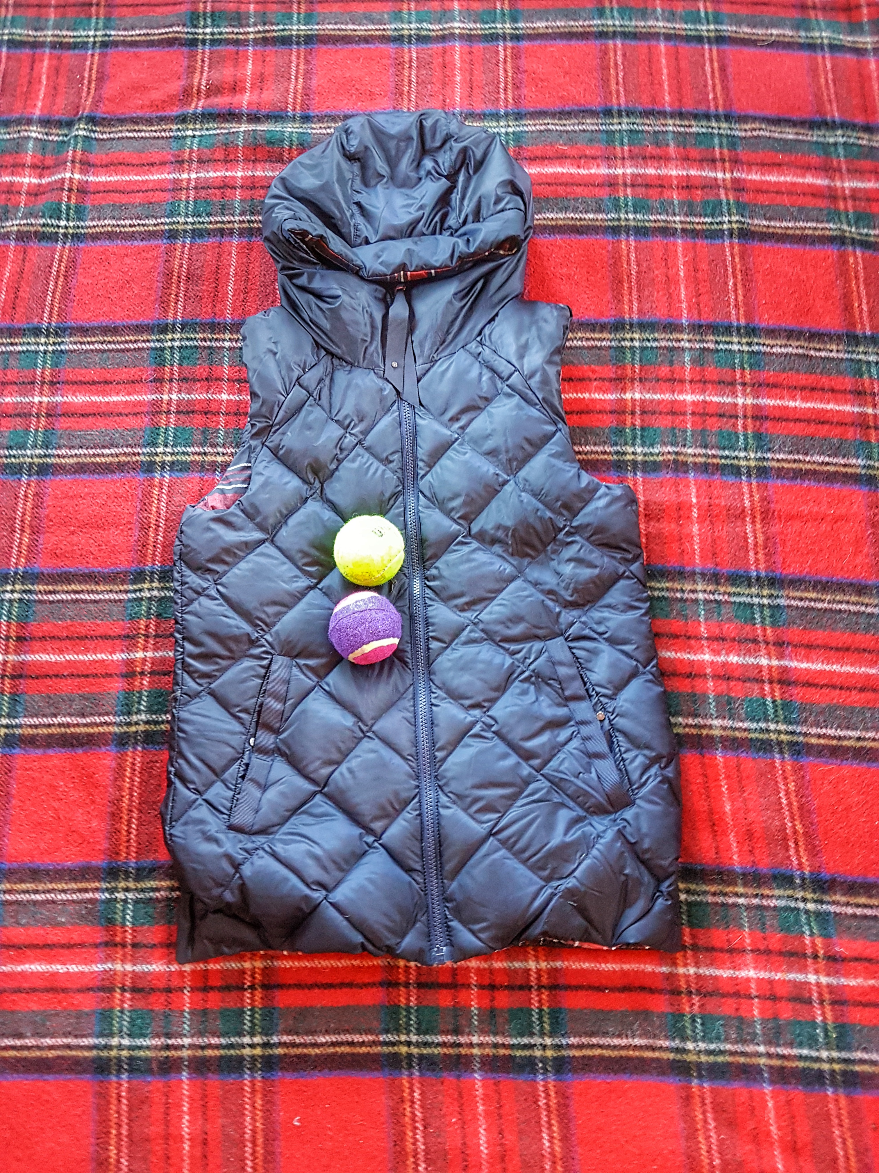 down vest washed