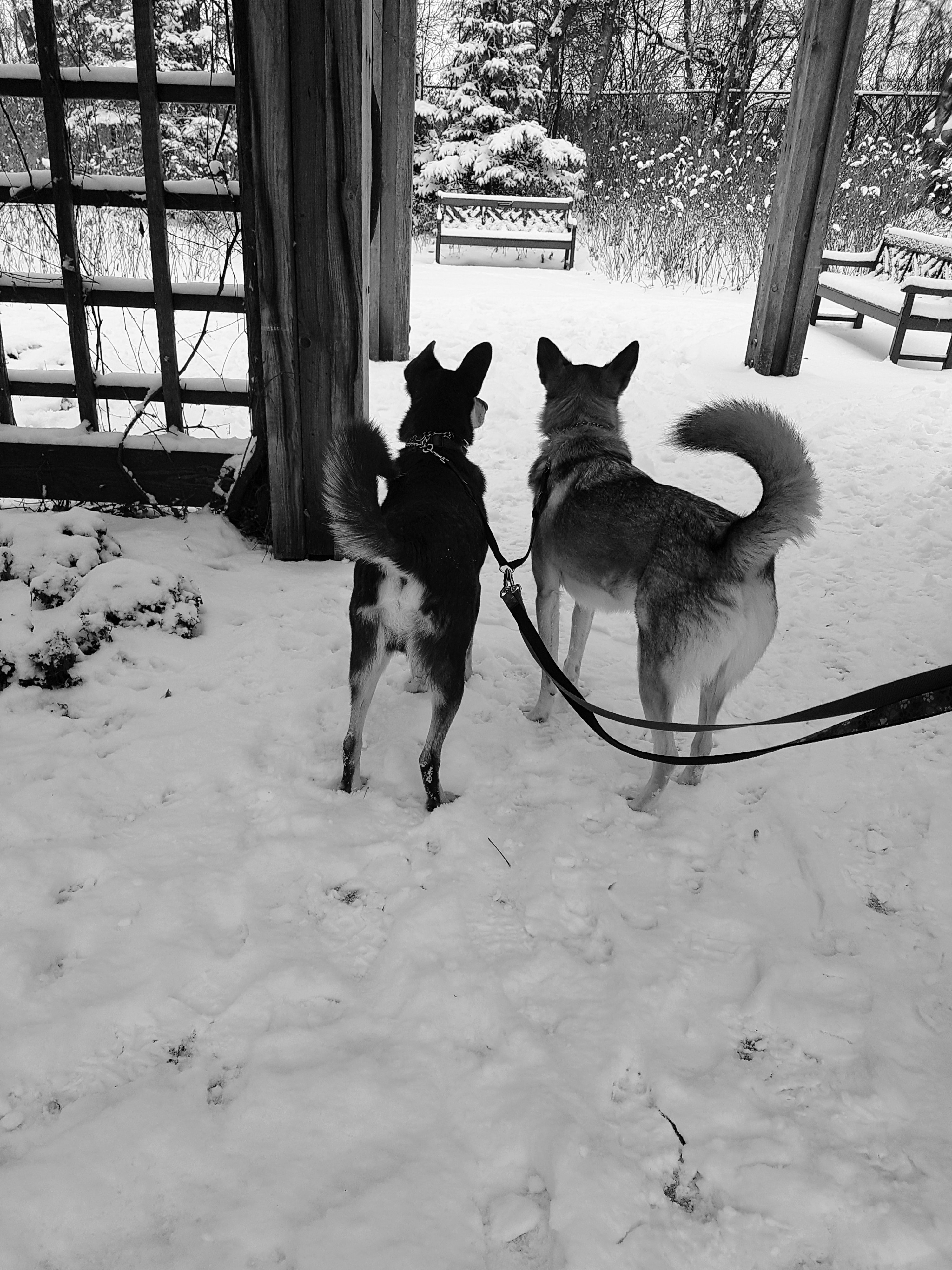 20171105_112903-012101049611.jpeg