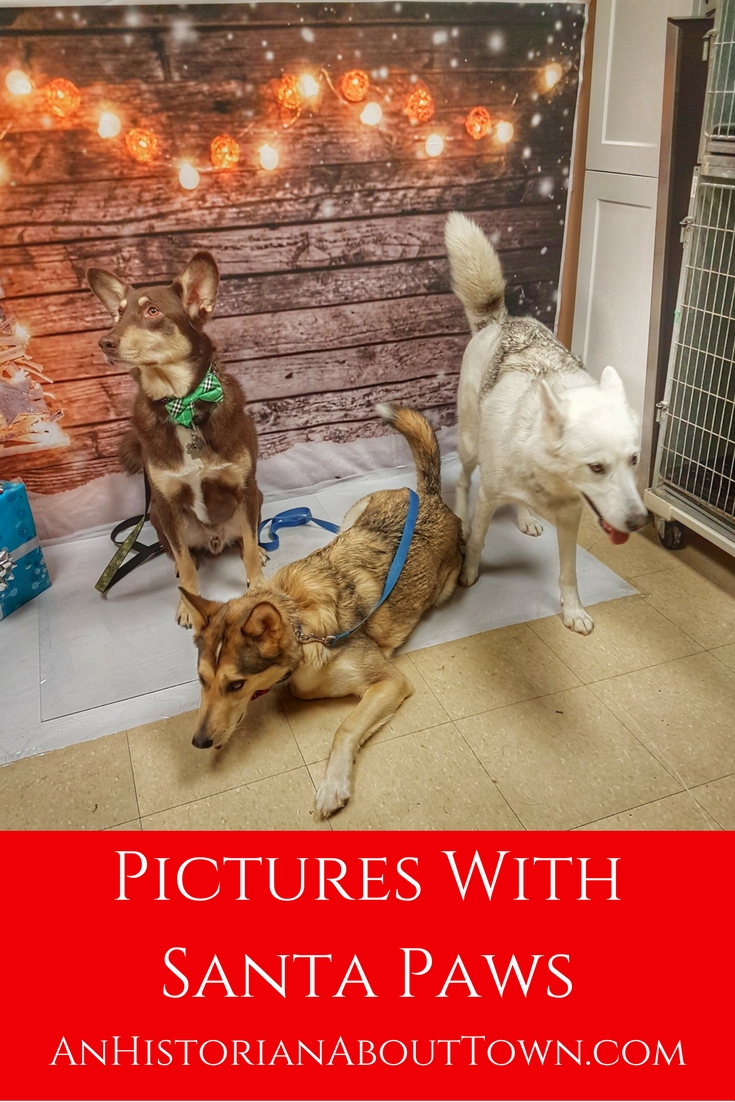 Pictures With Santa Paws