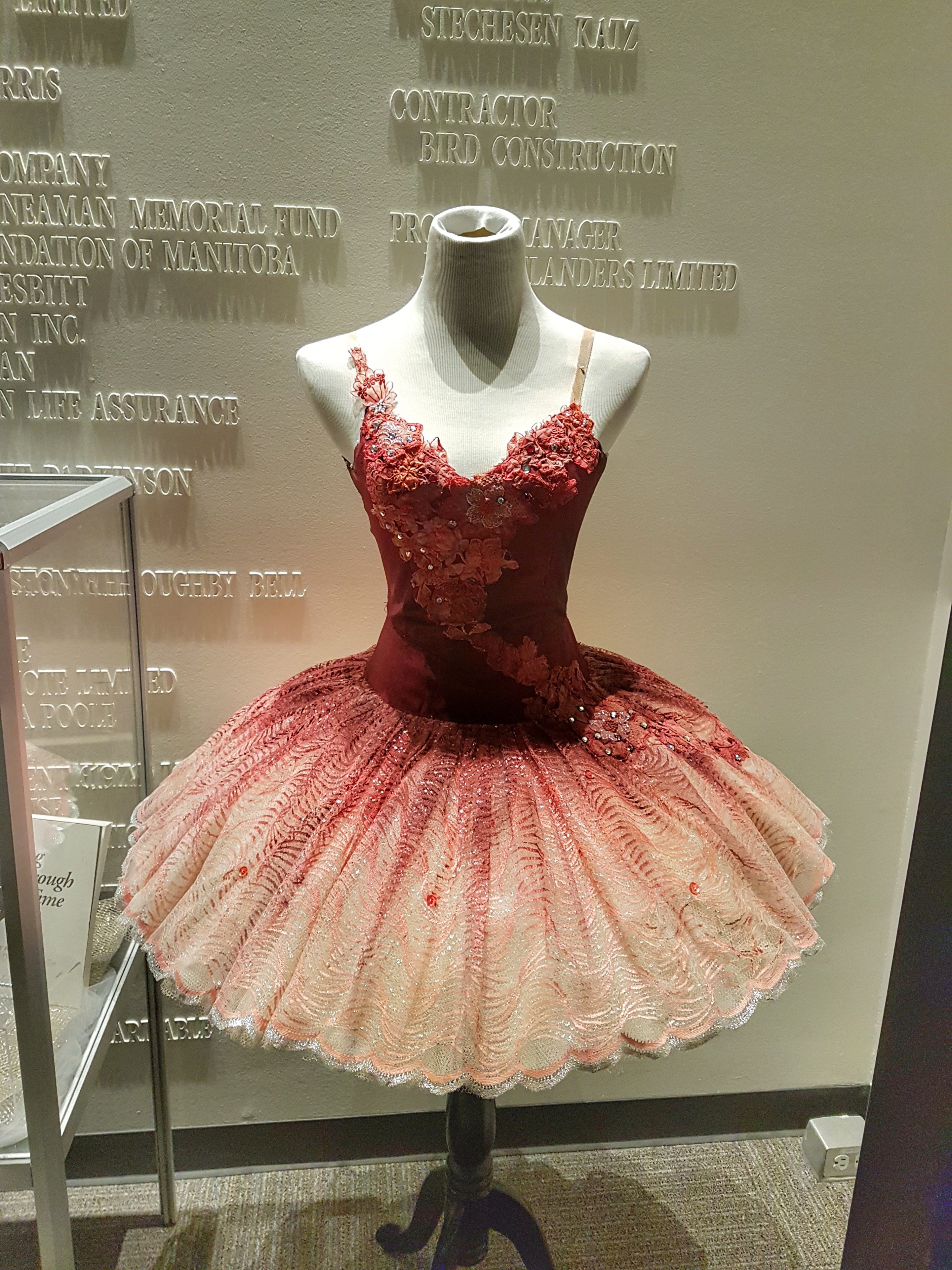 Sleeping Beauty Ballet Tutu