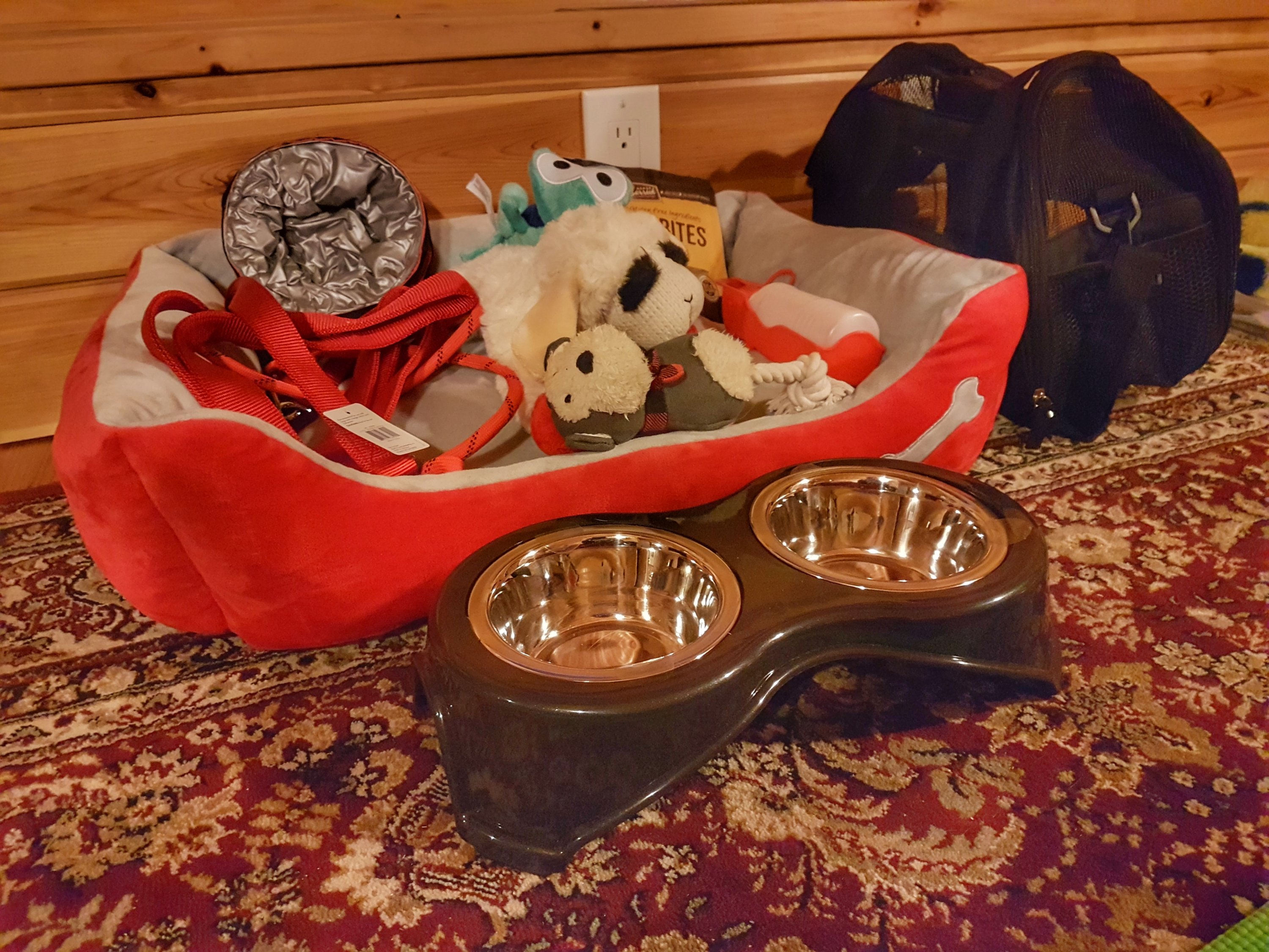 Dog Supplies.jpeg