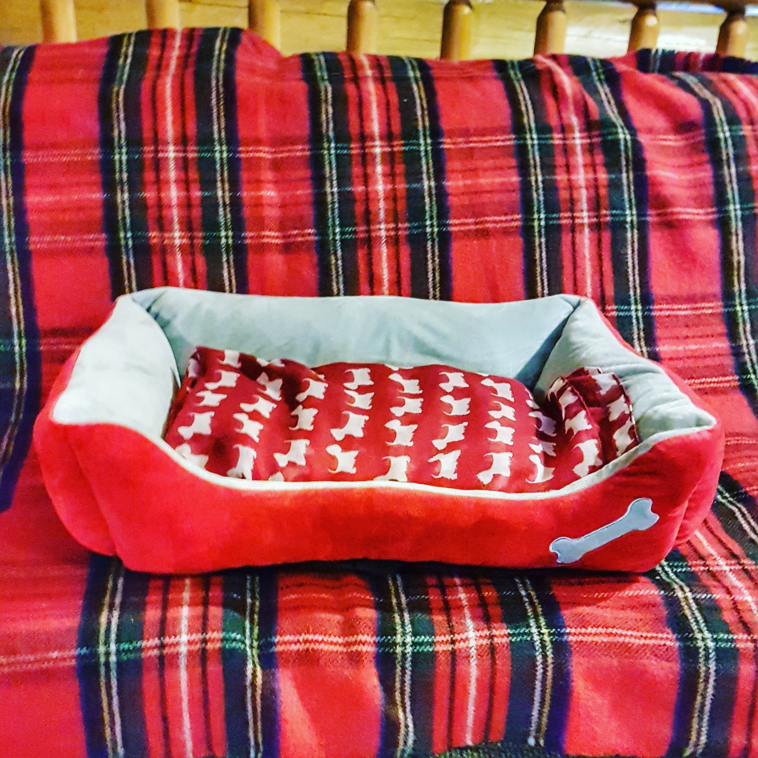 Dog bed.jpg