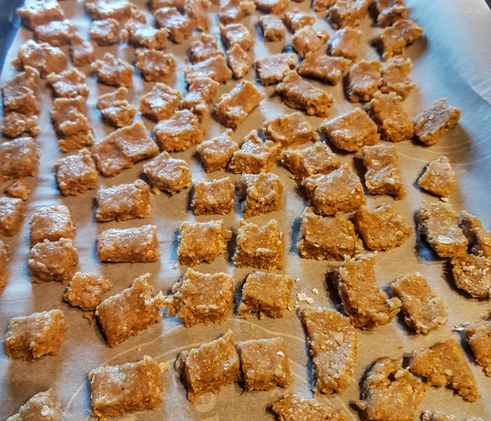 Homemade Dog Treats