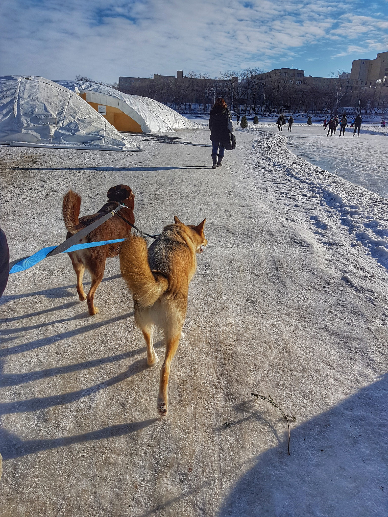 The Forks in the Winter