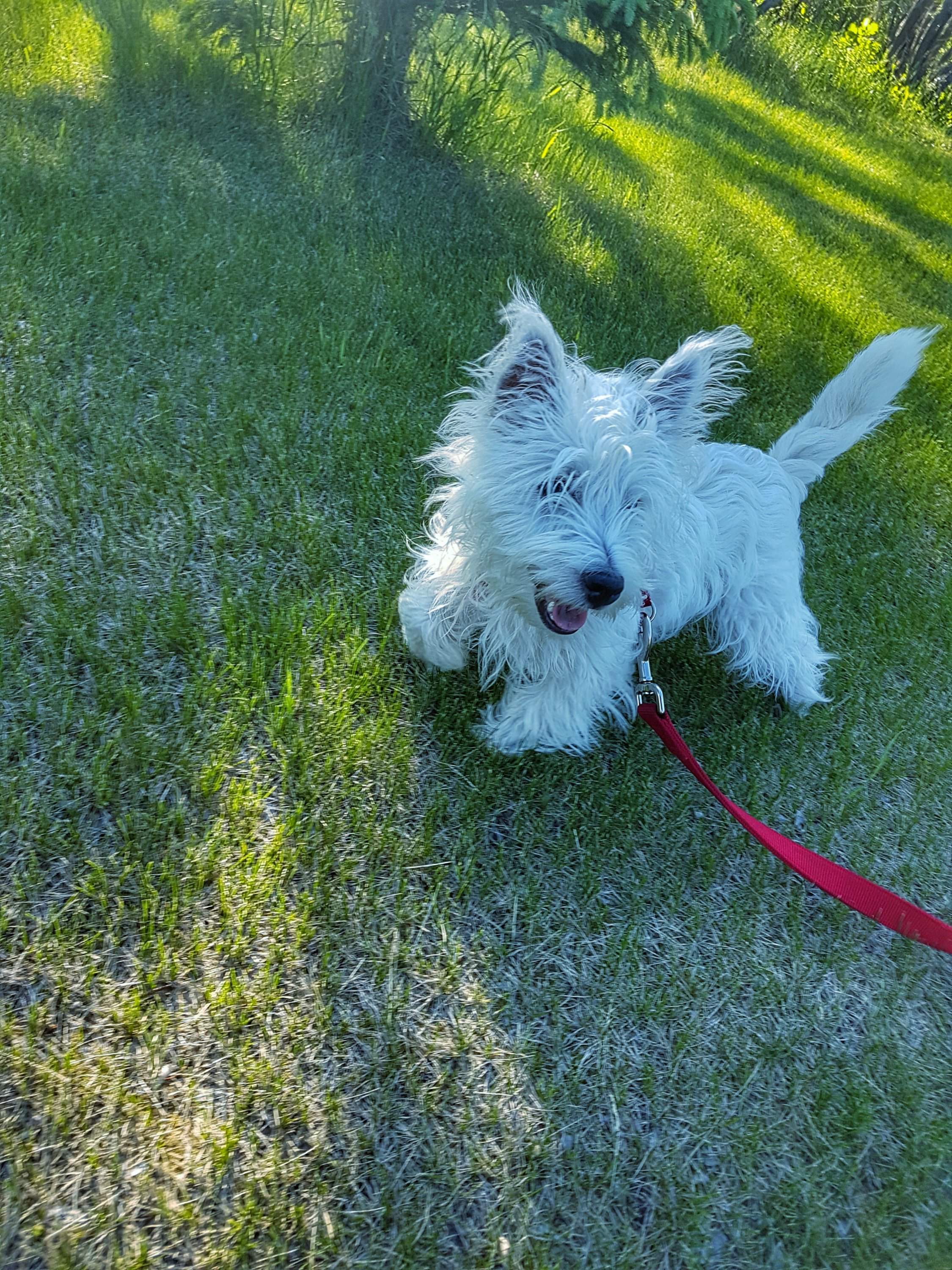 Agnes playing