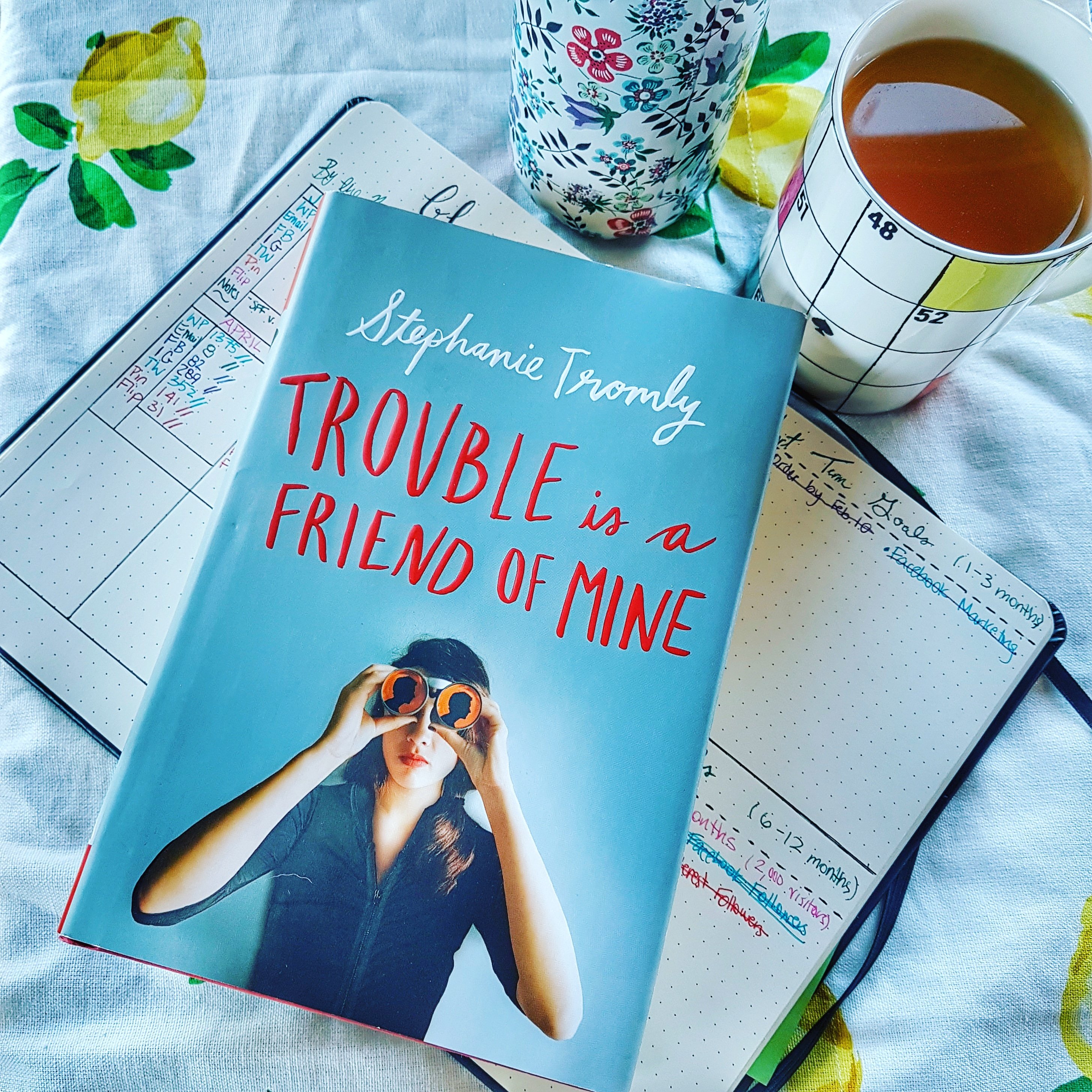 Trouble is a Friend of Mine