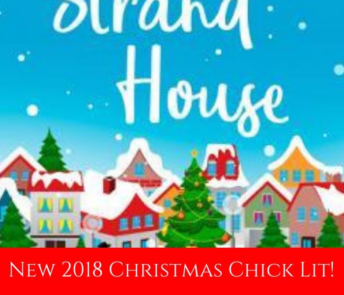 3 New 2018 Christmas Chick Lit Books!