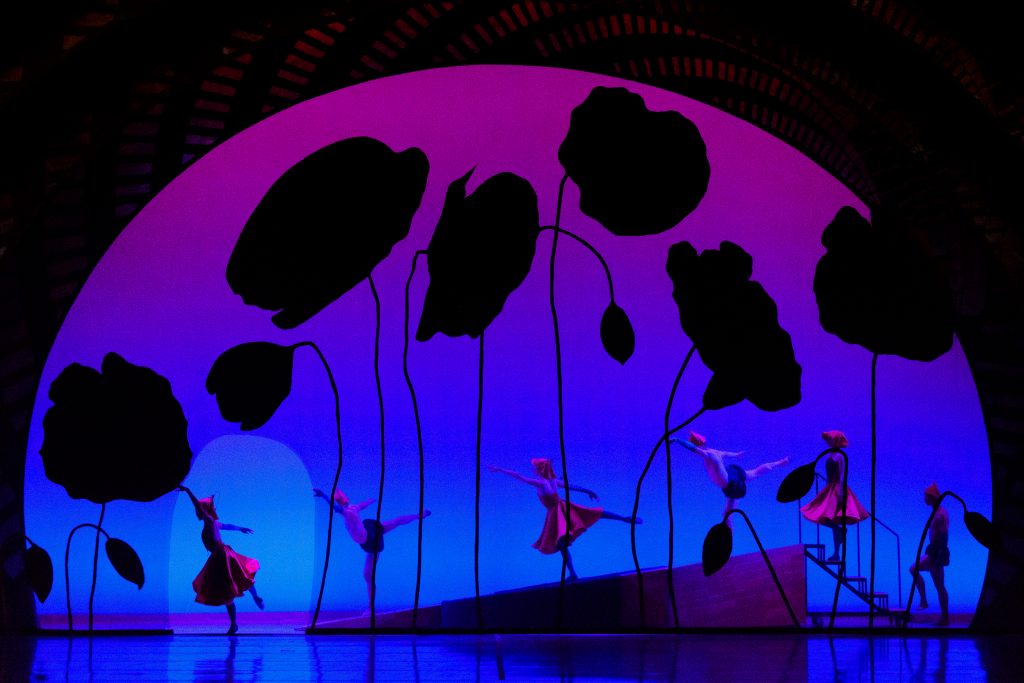 RWB's Wizard of Oz Poppies