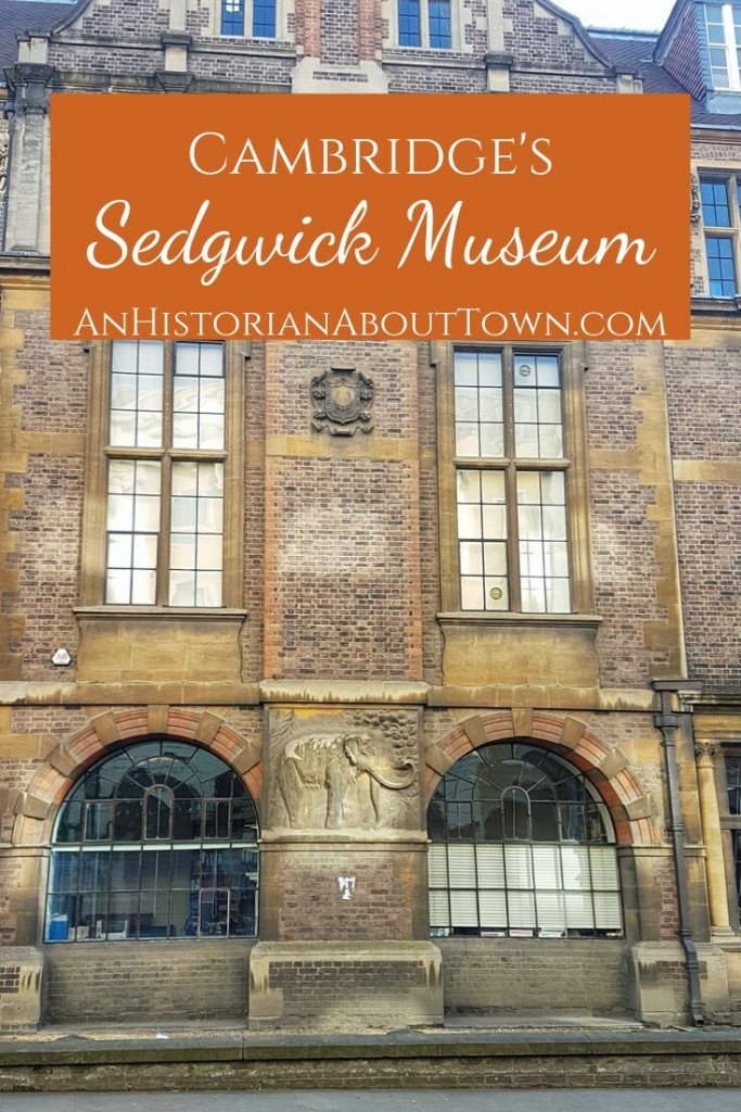 Sedgwick Museum