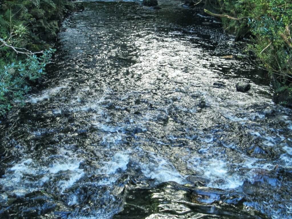 Poulanass River at Glendalough