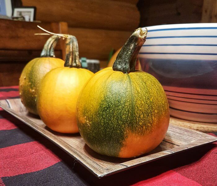 Happy Canadian Thanksgiving!