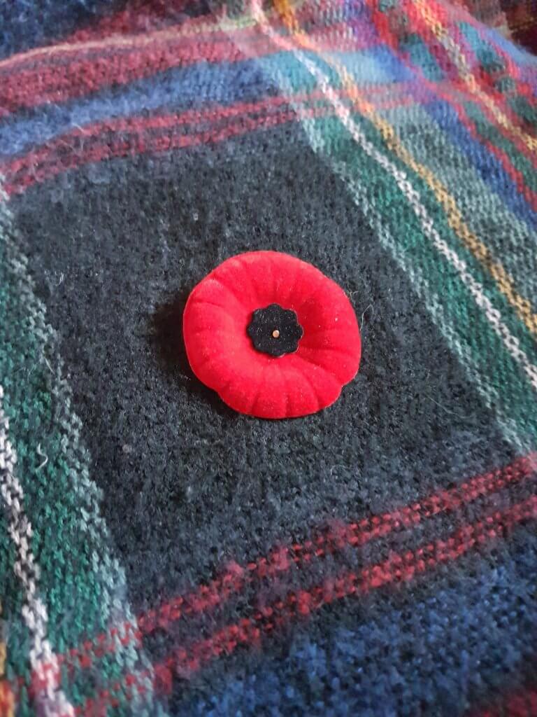Remembrance Day 2019 poppy