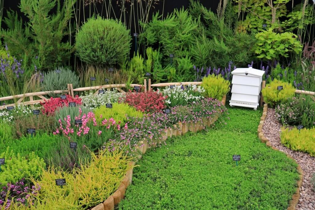 Hampton Court Flower Show 2016