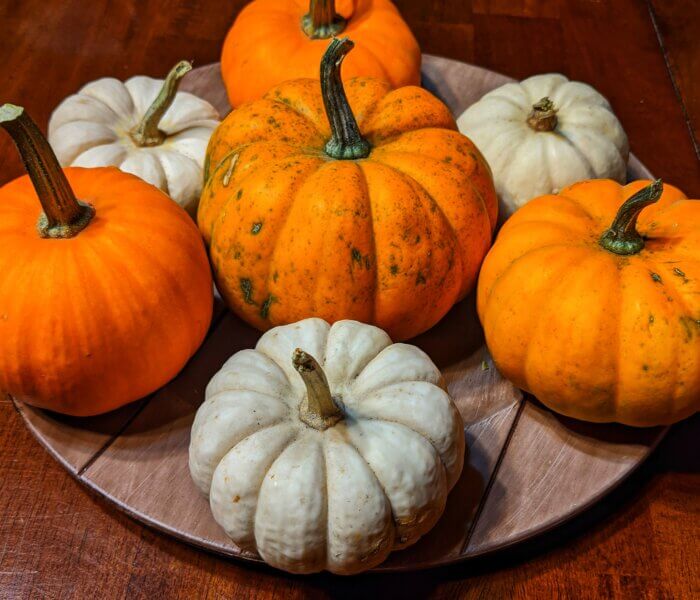Happy Thanksgiving 2020!